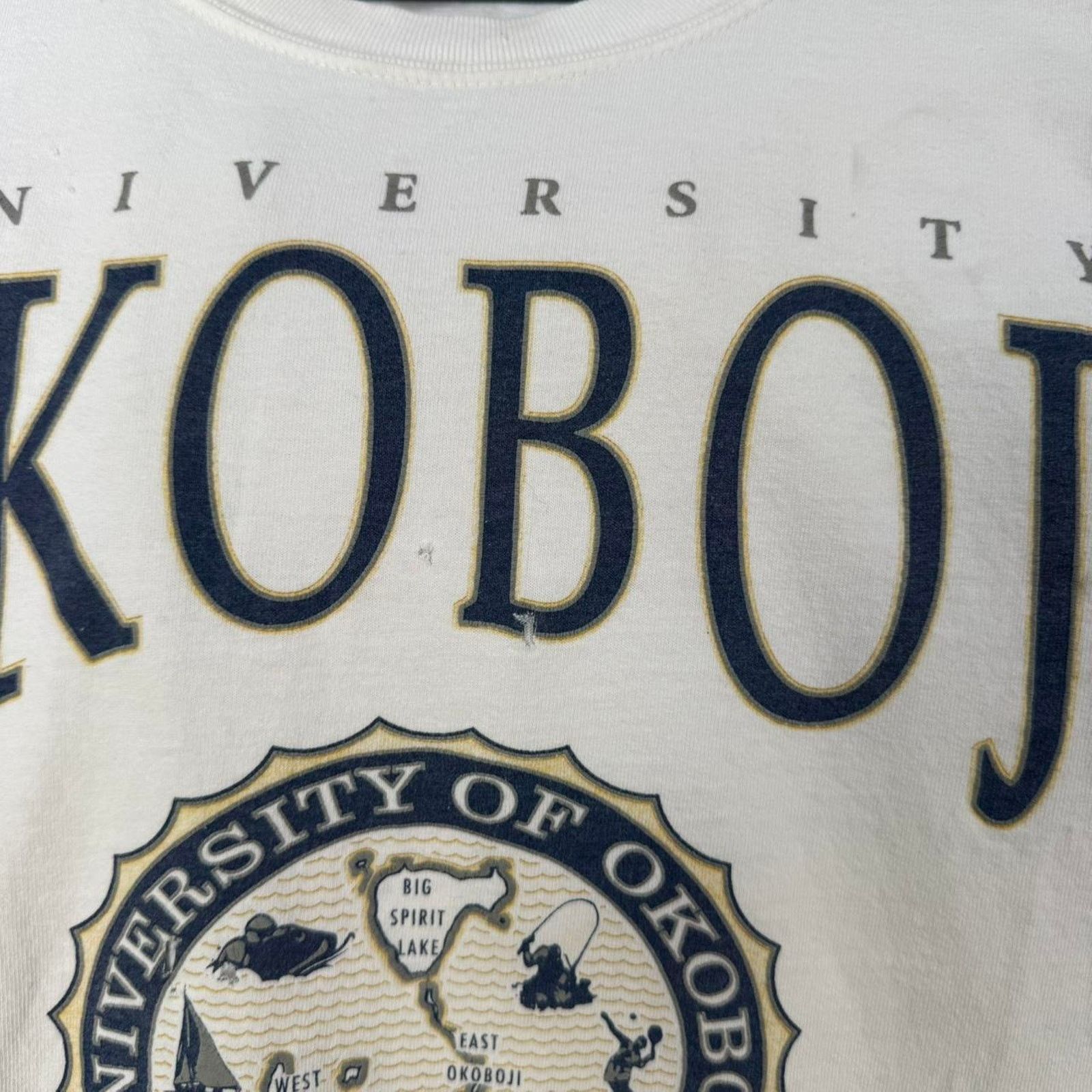 Other Vintage 90s Univiersity of Okoboji T-Shirt Size US L / EU 52-54 / 3 - 6 Thumbnail
