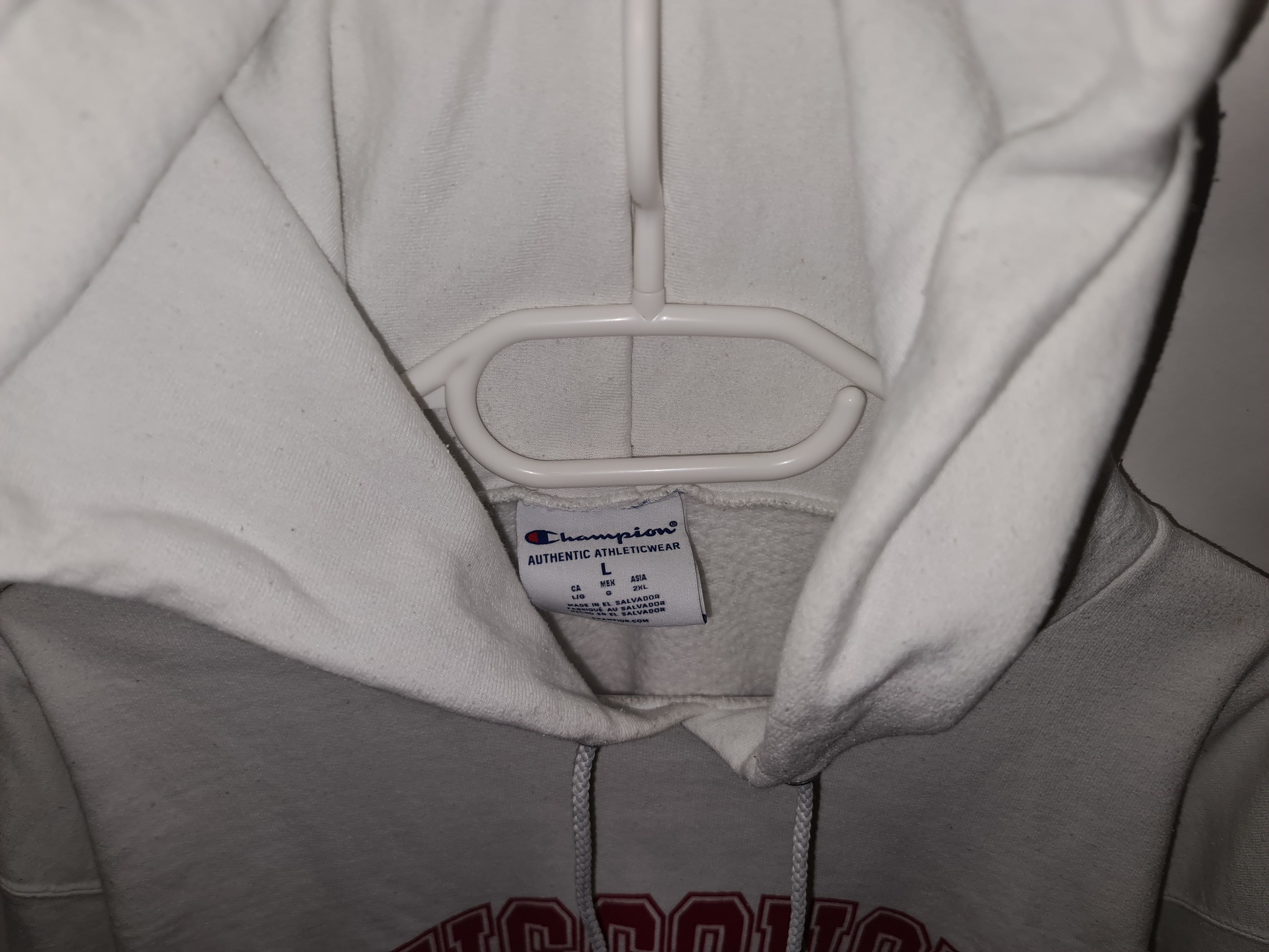 Champion Vintage Champion WISCONSIN Bucky Badger Reverse Weave Hoodie Size US L / EU 52-54 / 3 - 5 Thumbnail