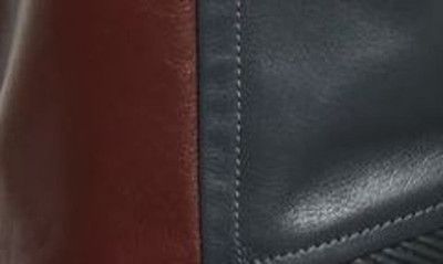 Bottega Veneta o1n1vont1224 Leather Biker Pants in Merlot / Graphite Size US 32 / EU 48 - 6 Thumbnail