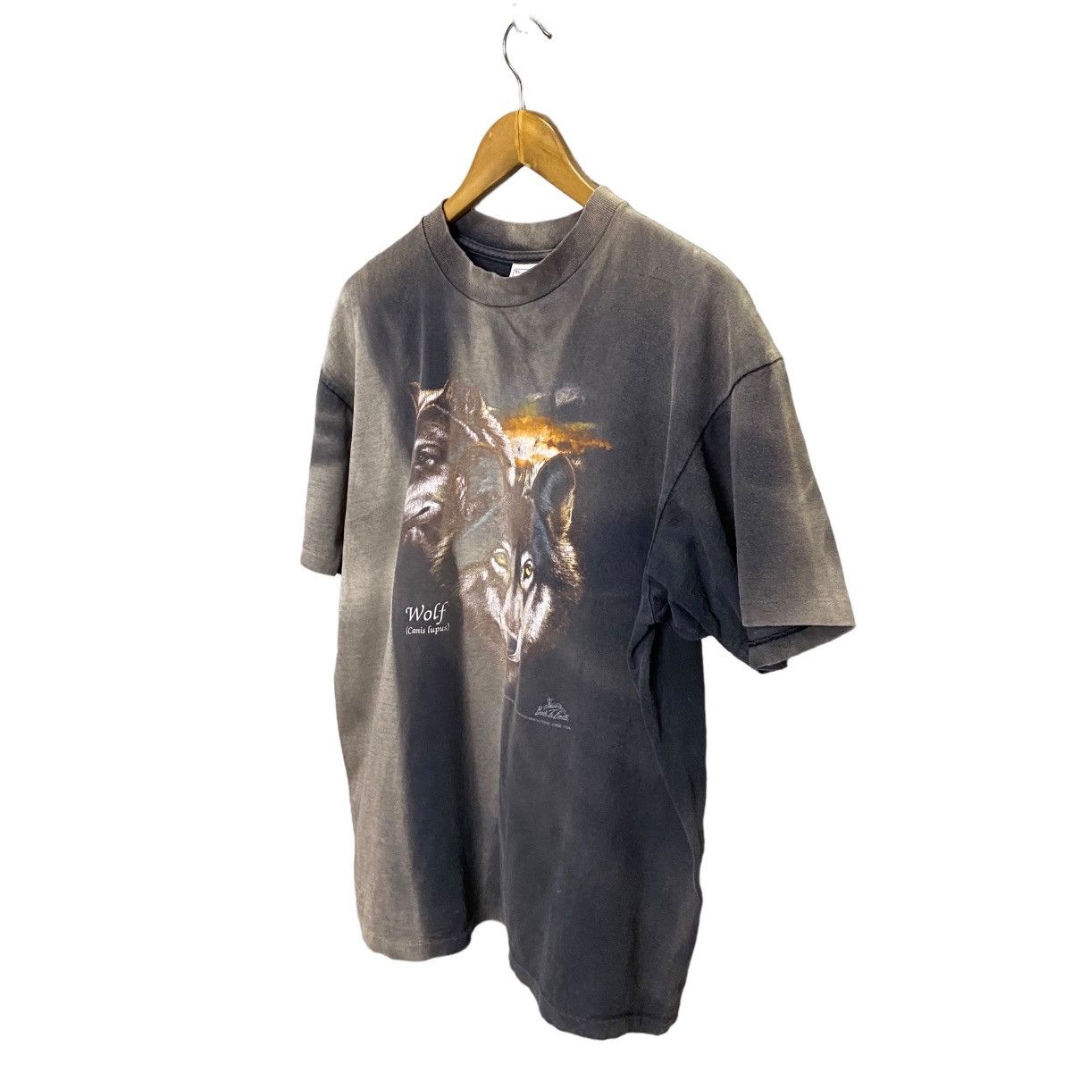 Delta Vintage 90s Delta Wolf Canis Lupus faded Size US XL / EU 56 / 4 - 3 Thumbnail
