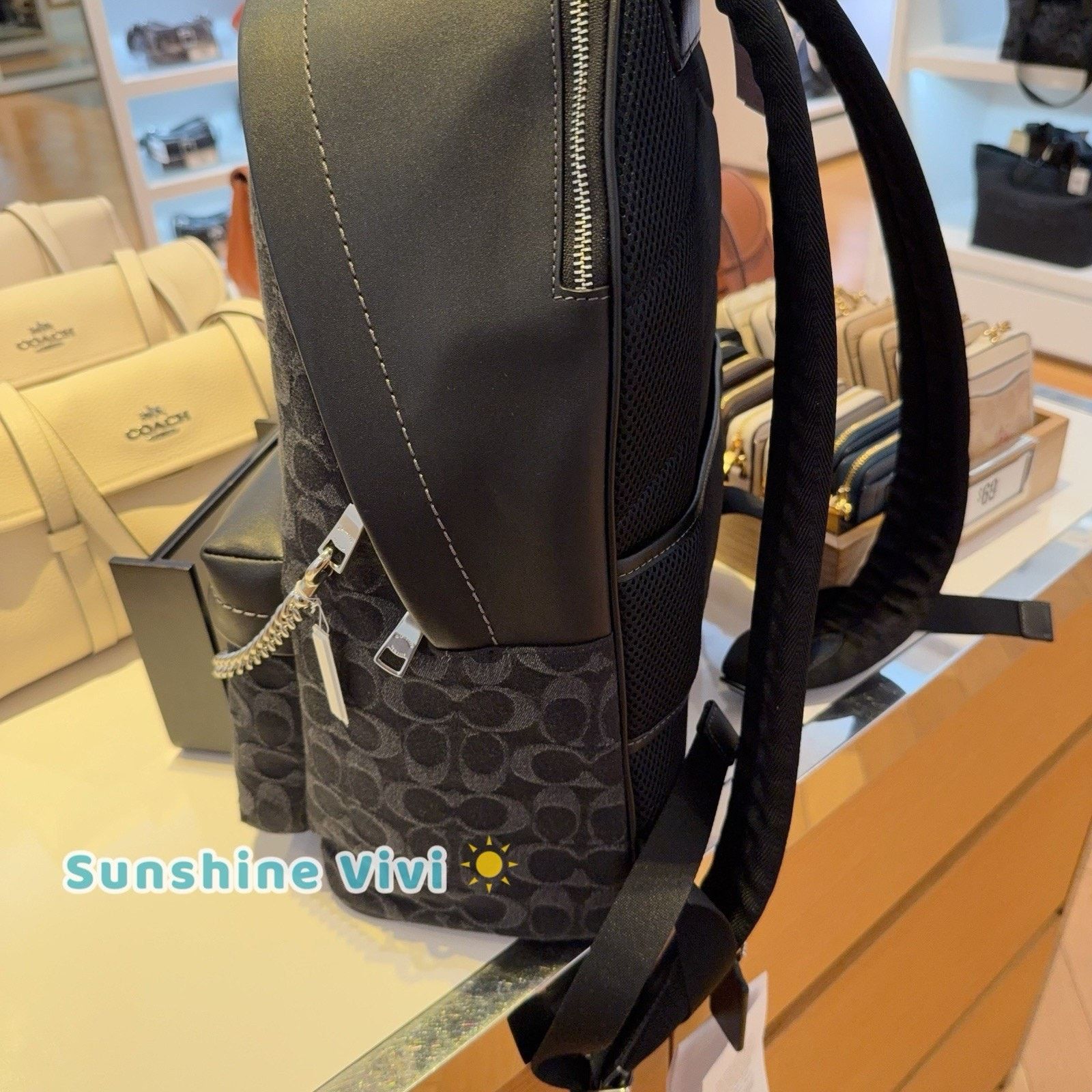Coach NWT Bundle Coach Taylor Backpack CDC49 & CR466 Chain Strap Size ONE SIZE - 6 Thumbnail