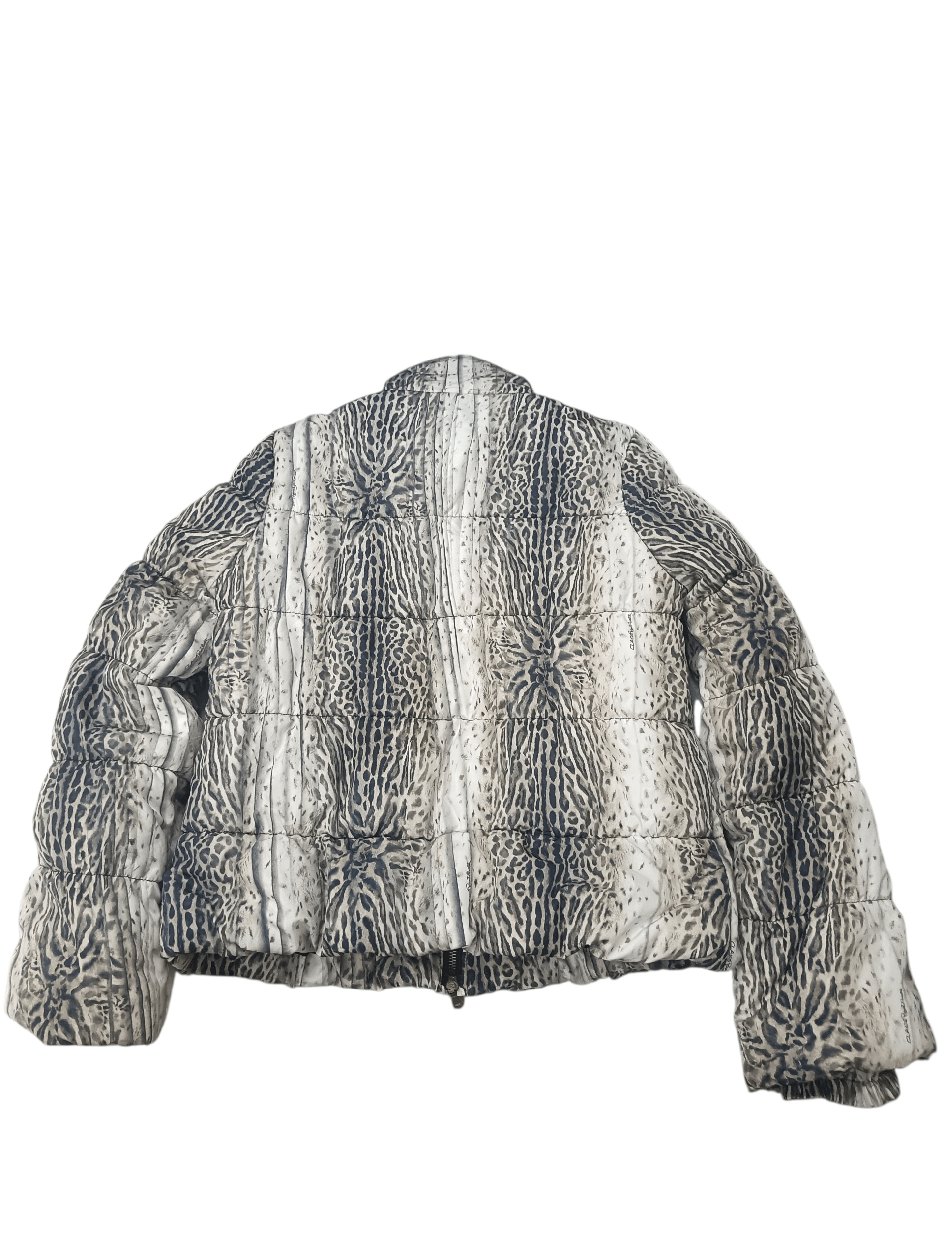 Roberto Cavalli Class Roberto cavalli leopard down jacket Size M / US 6-8 / IT 42-44 - 2 Thumbnail