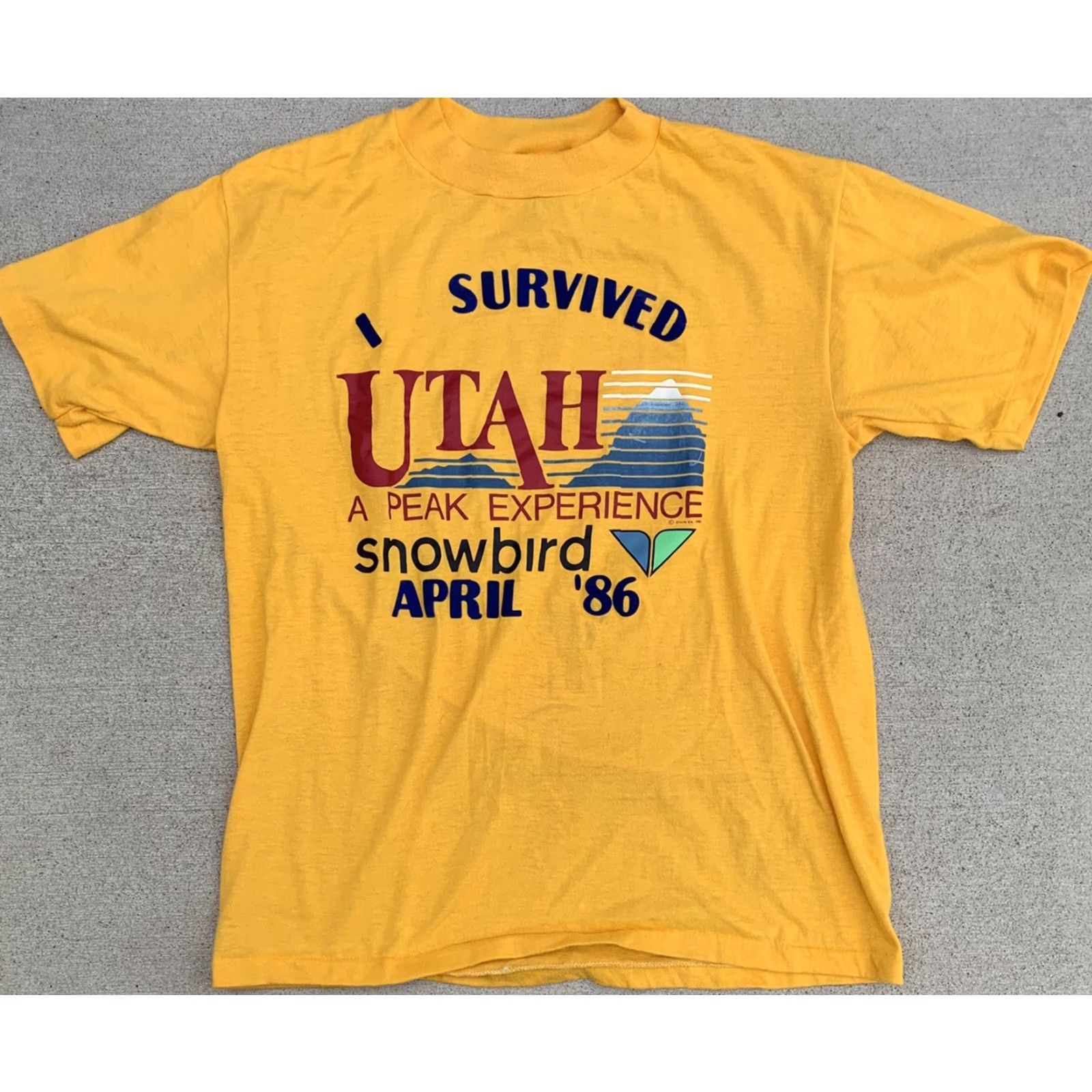 Vintage vintage I survived Utah peak experience snowbird April 86 graphic tee t-shirt L Miller Mens Crew Neck Short Sleeve Yellow 80s nature USA Size US L / EU 52-54 / 3 - 5 Thumbnail