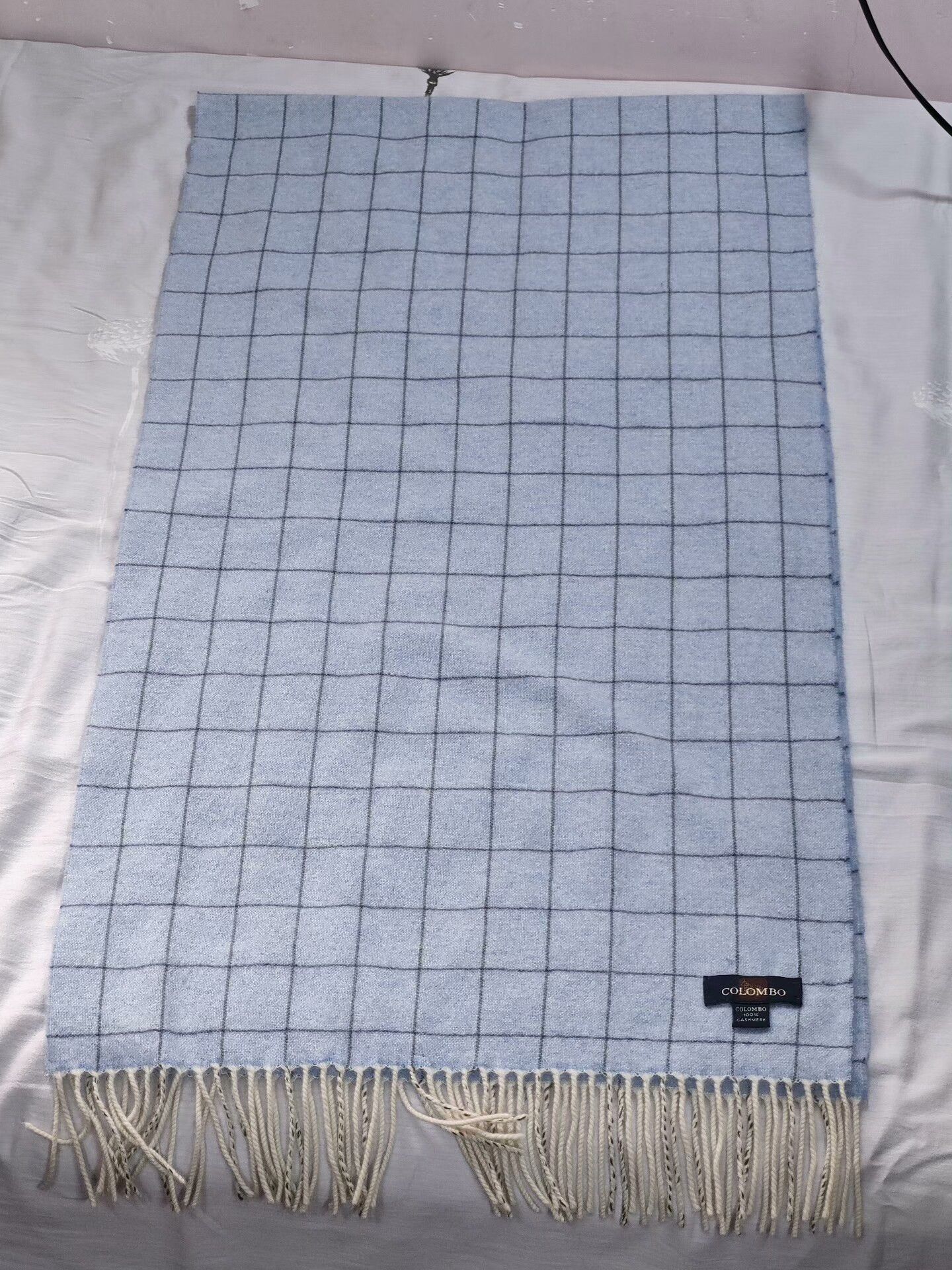 Ermenegildo Zegna Colombo Cashmere Scarf in Light Blue Size ONE SIZE - 1 Thumbnail