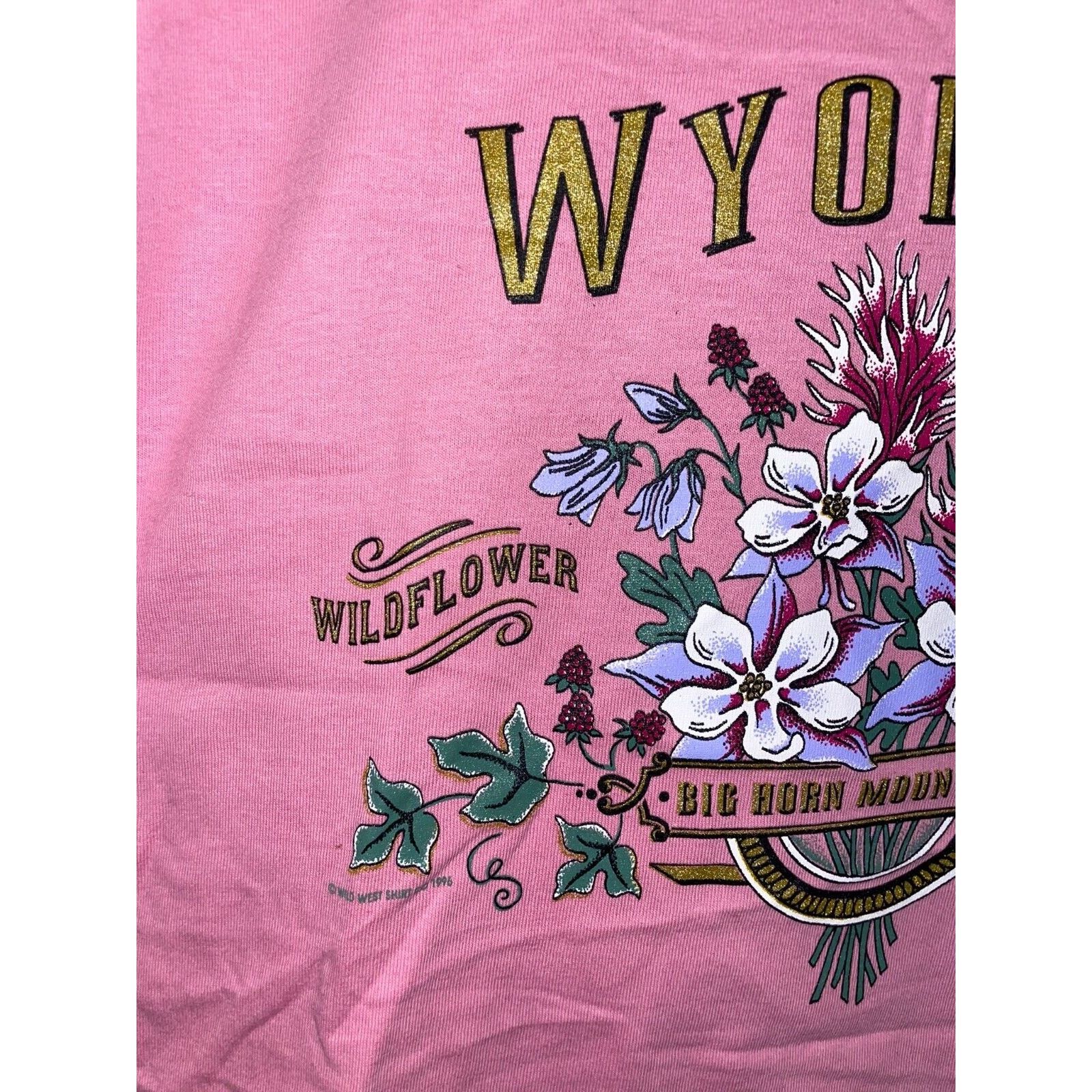 Jerzees Vintage Wyoming Wildflower Shirt Big Horn Pink Tee VTG 90s S Size US S / EU 44-46 / 1 - 3 Thumbnail