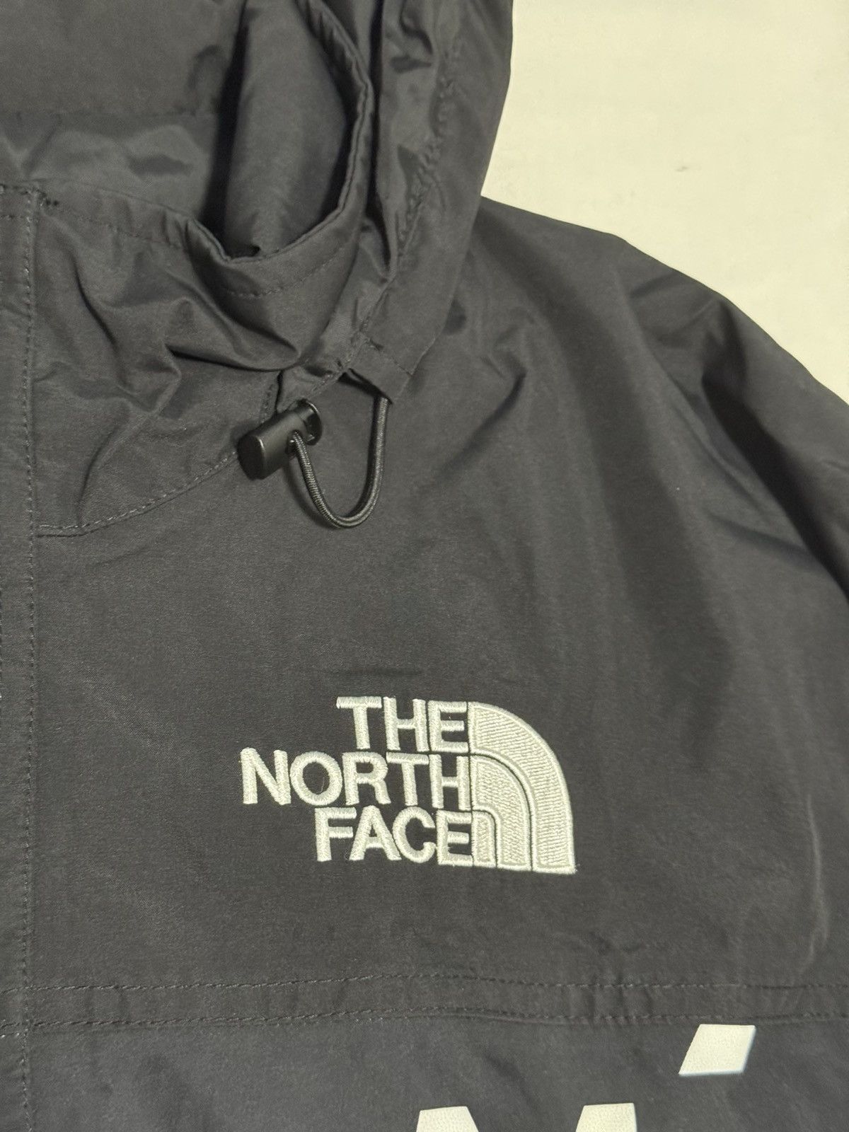 Supreme × The North Face Supreme tnf the north face bamn by any means pullover Jacket Size US L / EU 52-54 / 3 - 3 Thumbnail