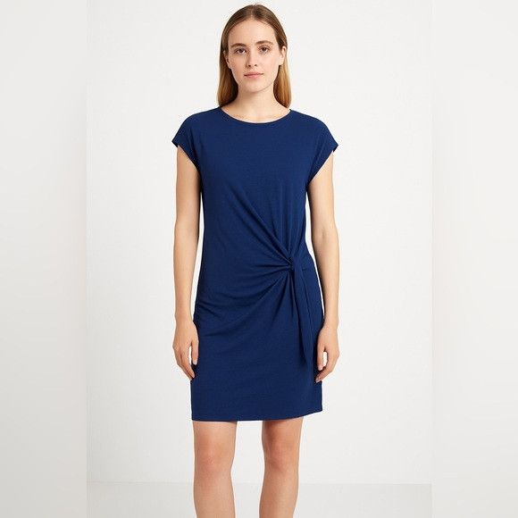 Velvet by Graham & Spencer Anthro Blue Tie-Waist Dress Small
