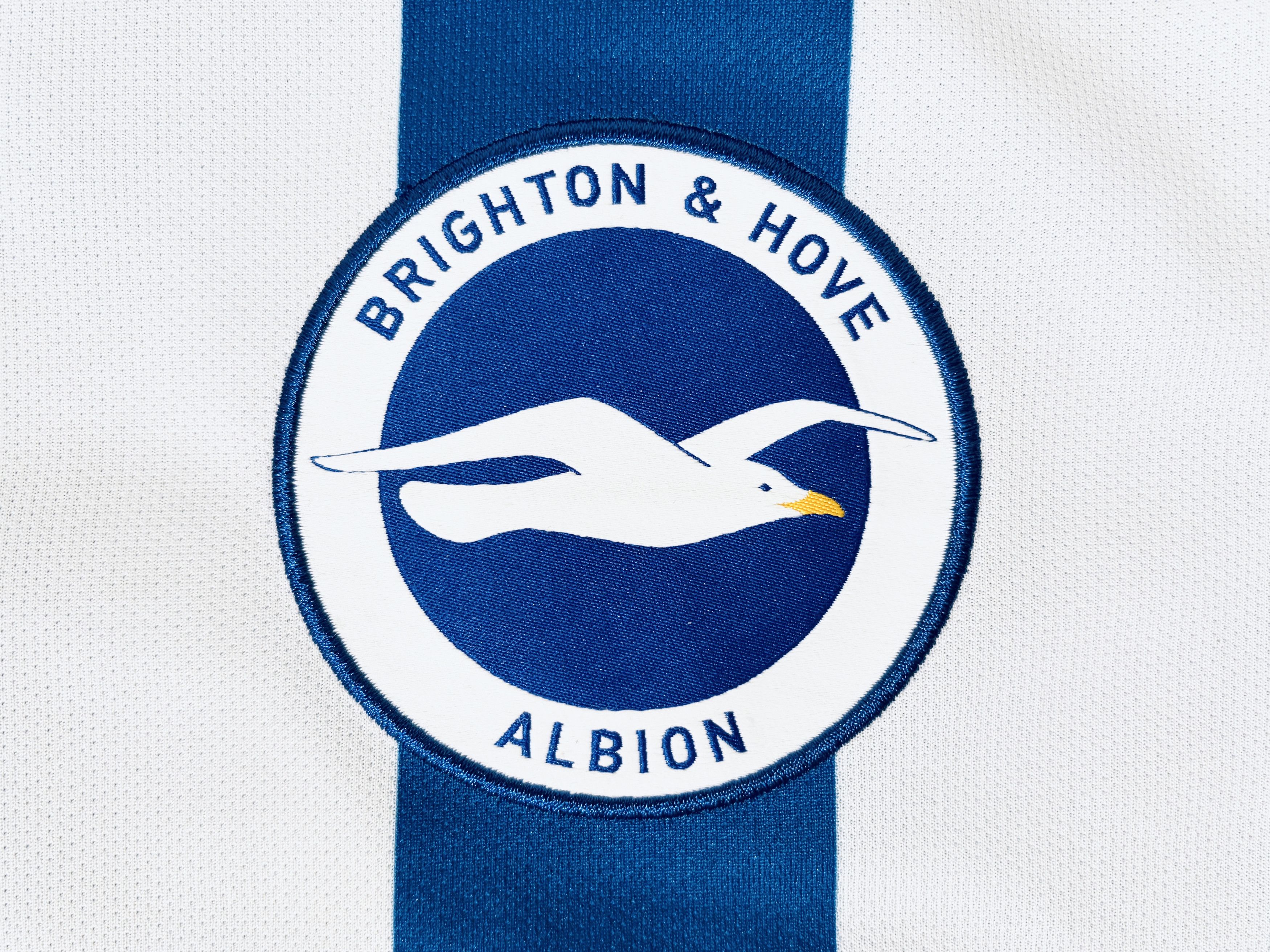 Nike Brighton Home Football Jersey 2021 - 2022 Size US M / EU 48-50 / 2 - 5 Thumbnail