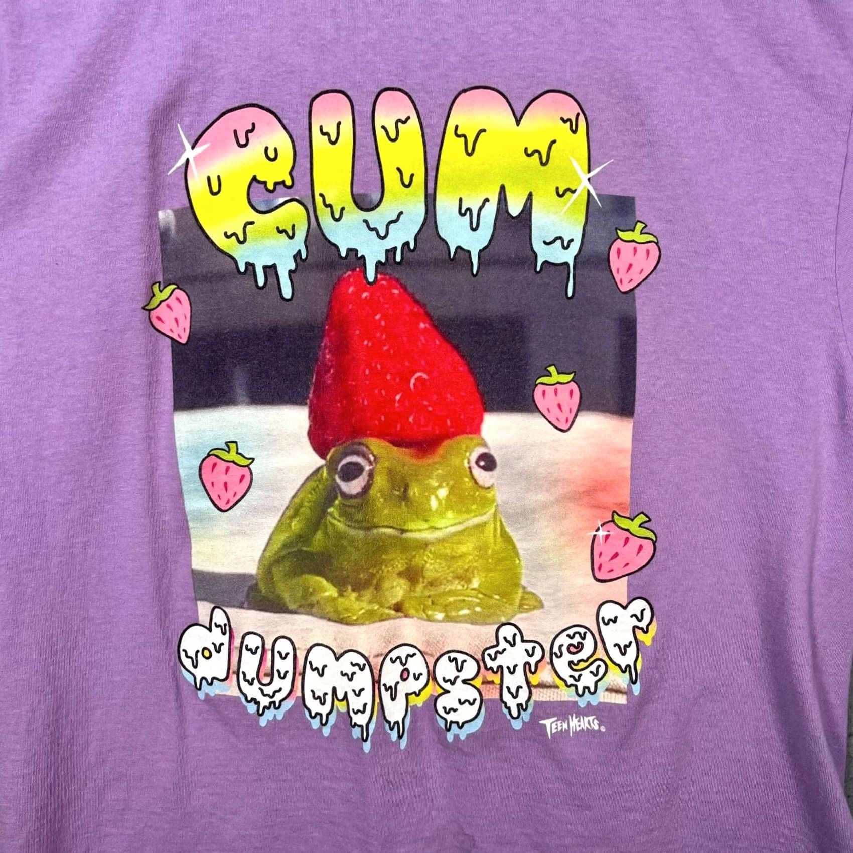 Vintage Teen Hearts C*m Dumpster Purple Frog Strawberry Graphic T Shirt Womens XL Size XL / US 12-14 / IT 48-50 - 4 Thumbnail