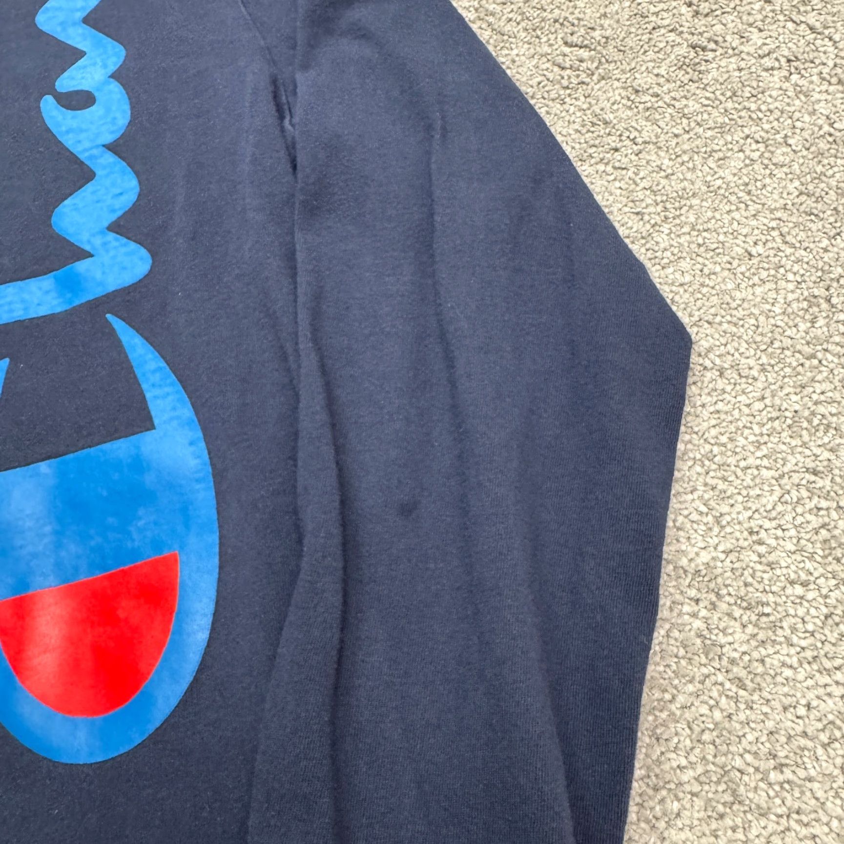 Champion Champion T-Shirt Shirt Mens L Blue Long Sleeve Crew Heavyweight Cotton Tee Size US L / EU 52-54 / 3 - 4 Thumbnail