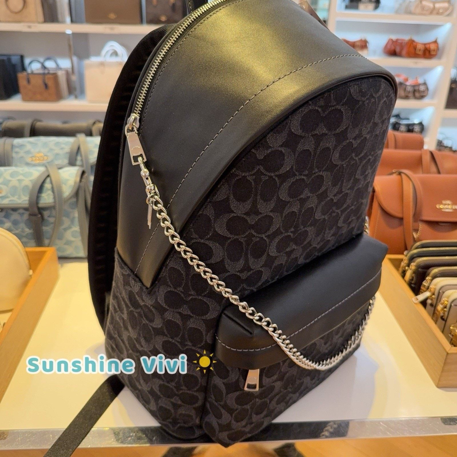 Coach NWT Bundle Coach Taylor Backpack CDC49 & CR466 Chain Strap Size ONE SIZE - 2 Thumbnail