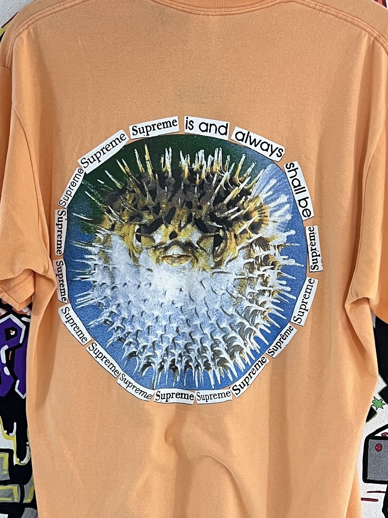 Supreme Supreme Blob Fish T-Shirt Size US L / EU 52-54 / 3 - 6 Thumbnail