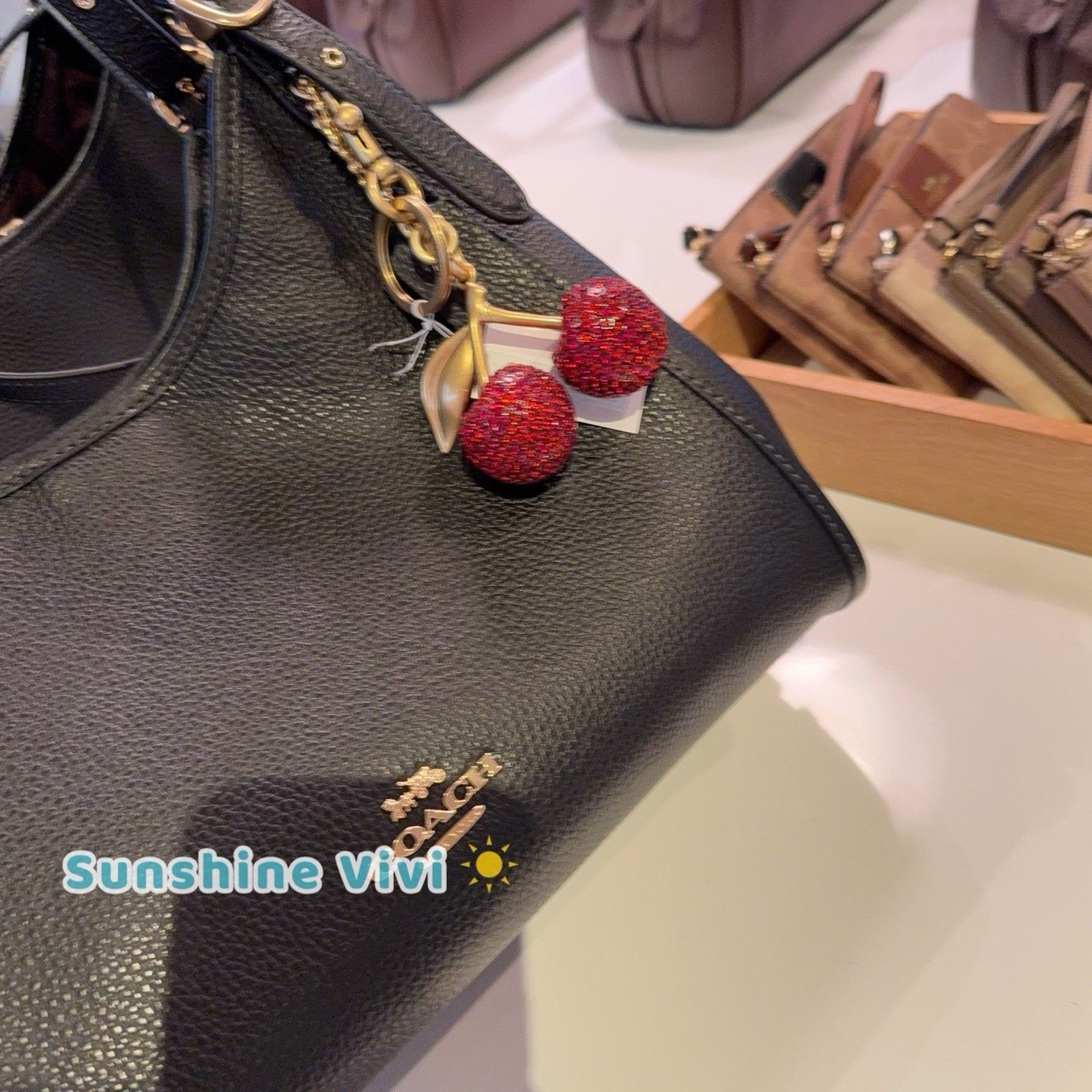 Coach NWT Bundle Coach Crystal Cherry Charm CCD32 & CAQ86 Erin Bag Size ONE SIZE - 7 Thumbnail