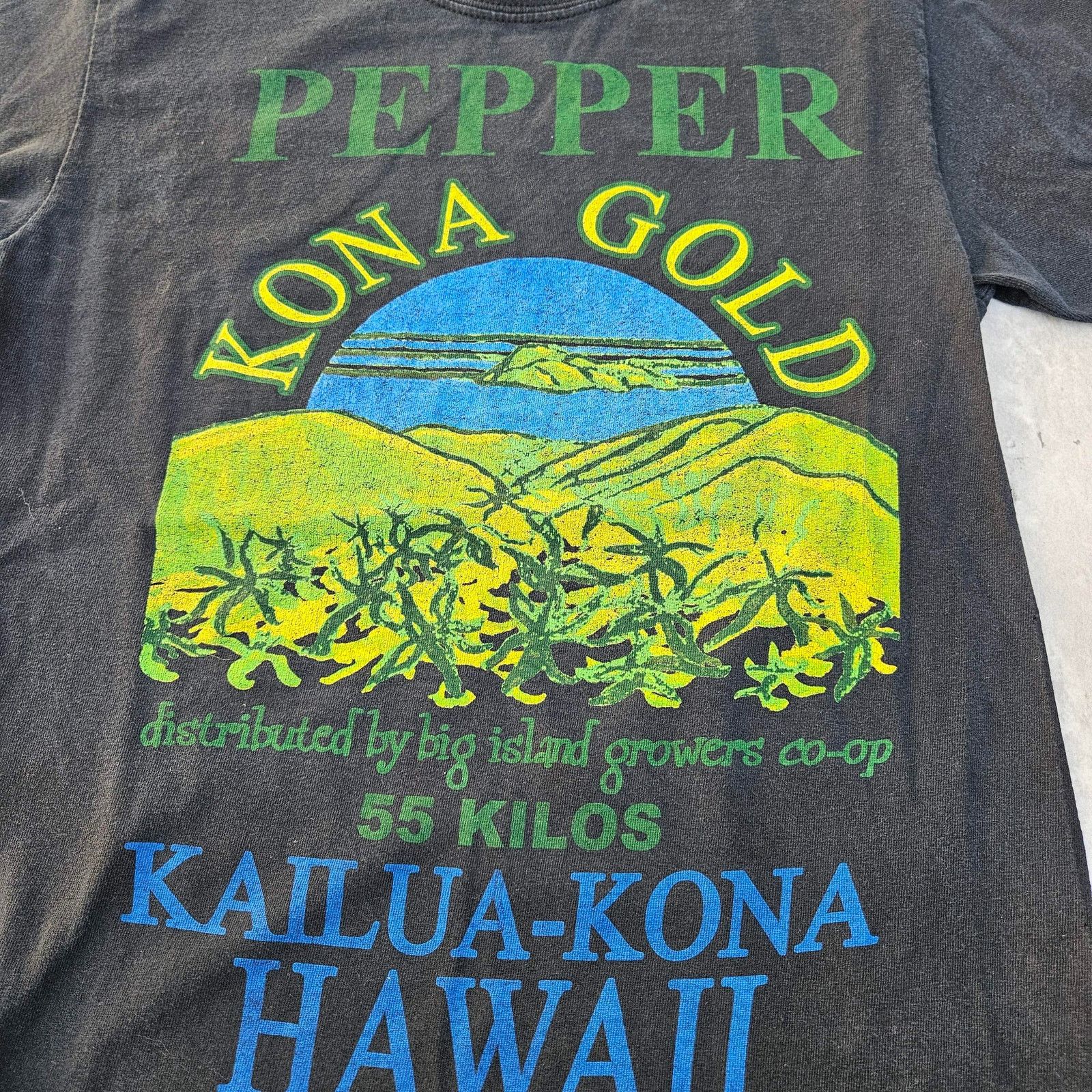 Band Tees Vintage Pepper Band Tee Kona Gold Graphic Y2K Size Small Size US S / EU 44-46 / 1 - 2 Thumbnail
