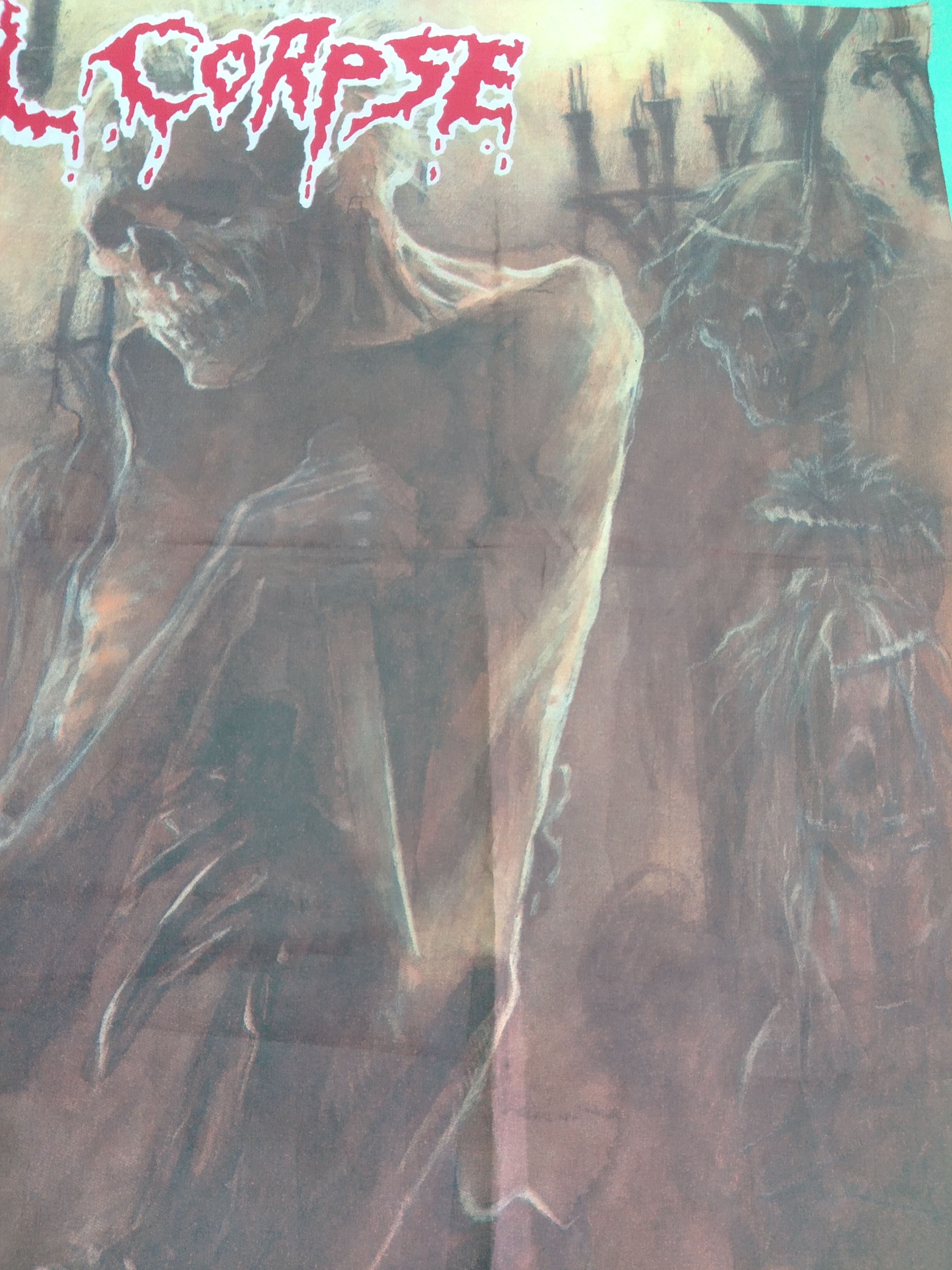 Vintage Vintage '93 CANNIBAL CORPSE poster flag Size ONE SIZE - 3 Thumbnail