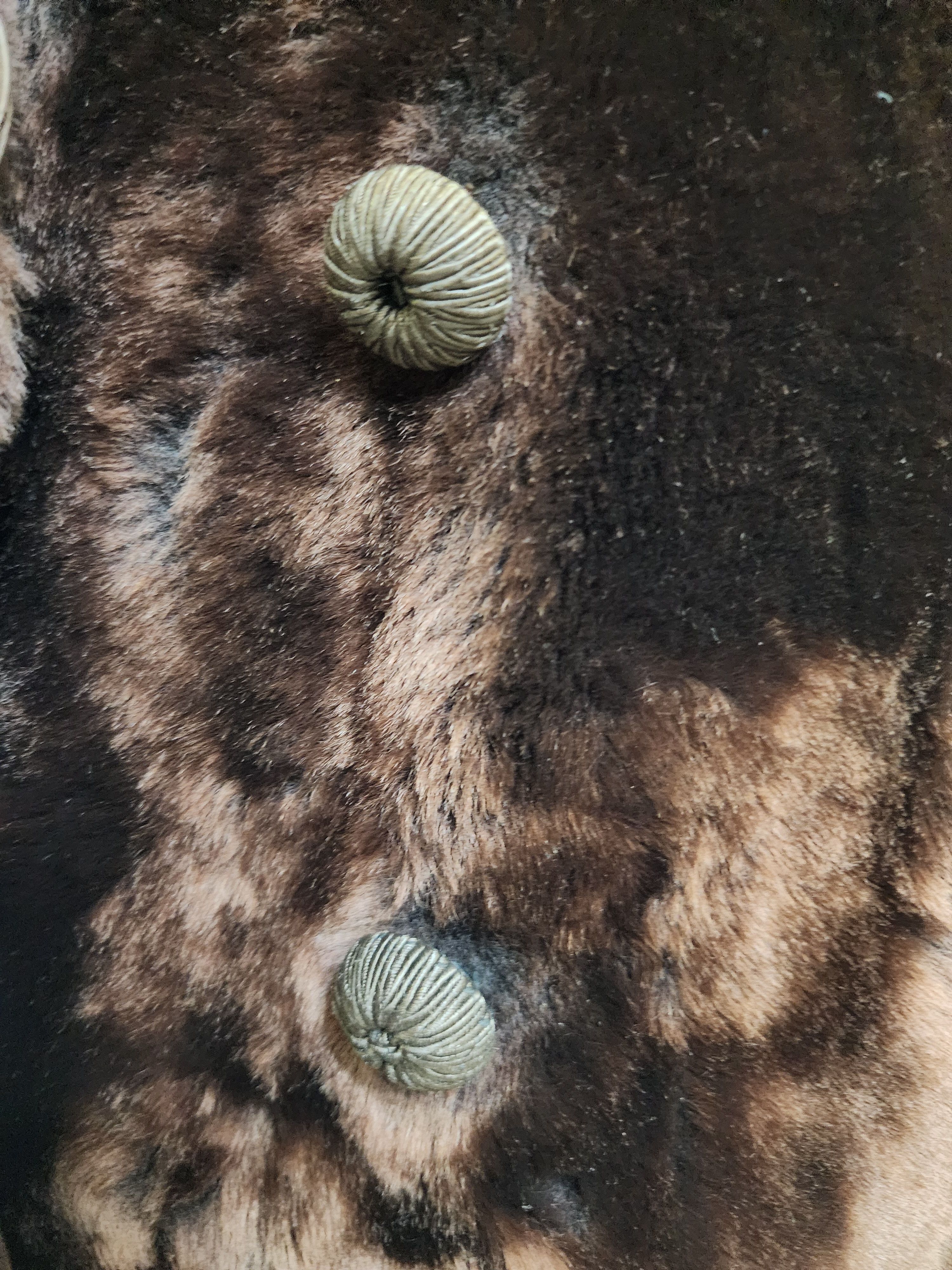 Genuine Leather Brown women's fur coat. Size L / US 10 / IT 46 - 7 Thumbnail