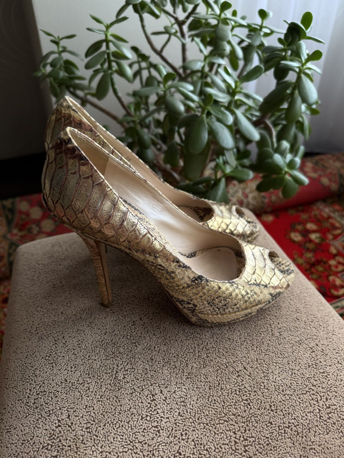 Dior Python Heels