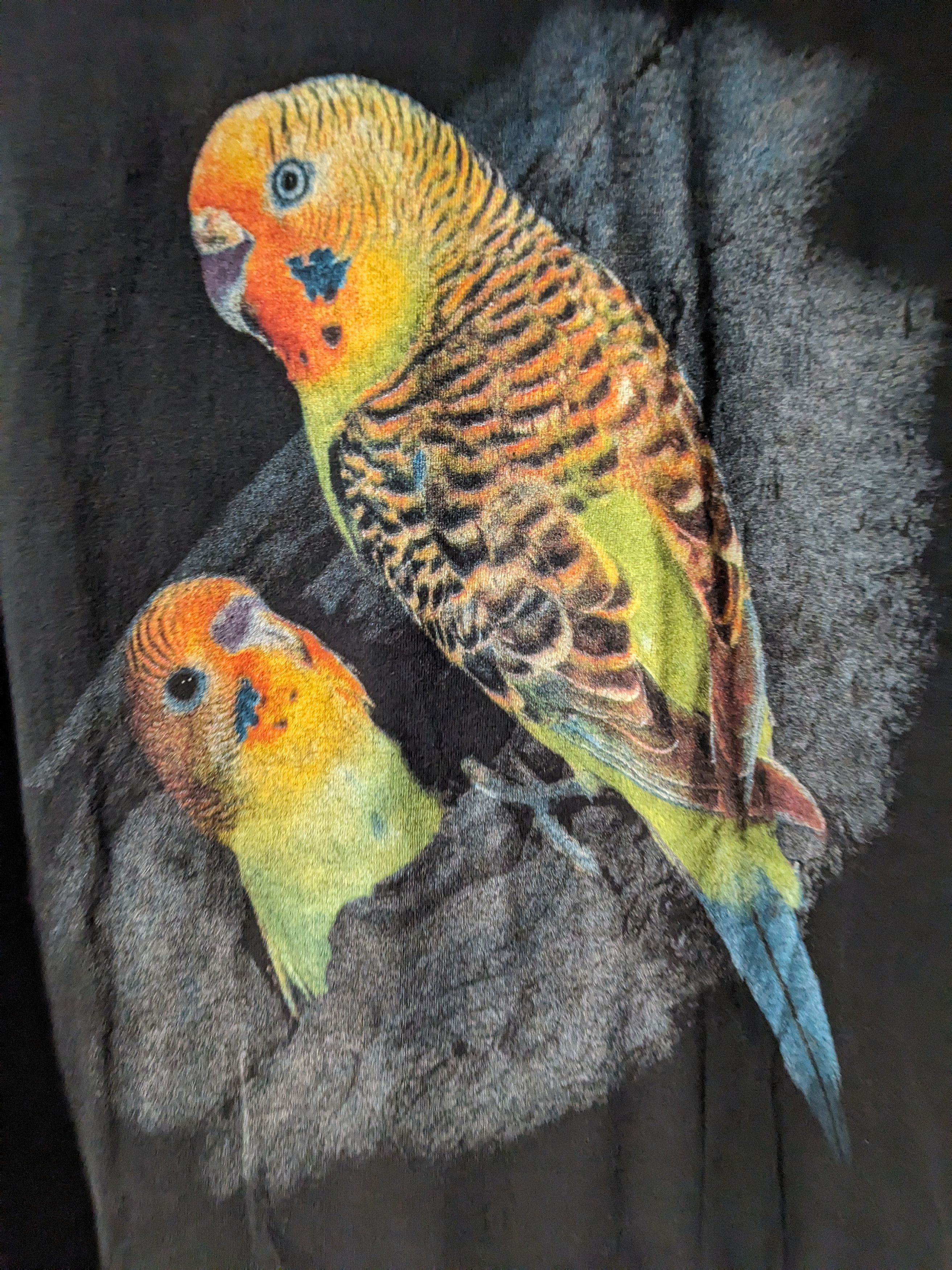 Vintage Vintage 90s Budgerigar Bird Animal Nature X-Large T-Shirt Size US XL / EU 56 / 4 - 2 Thumbnail