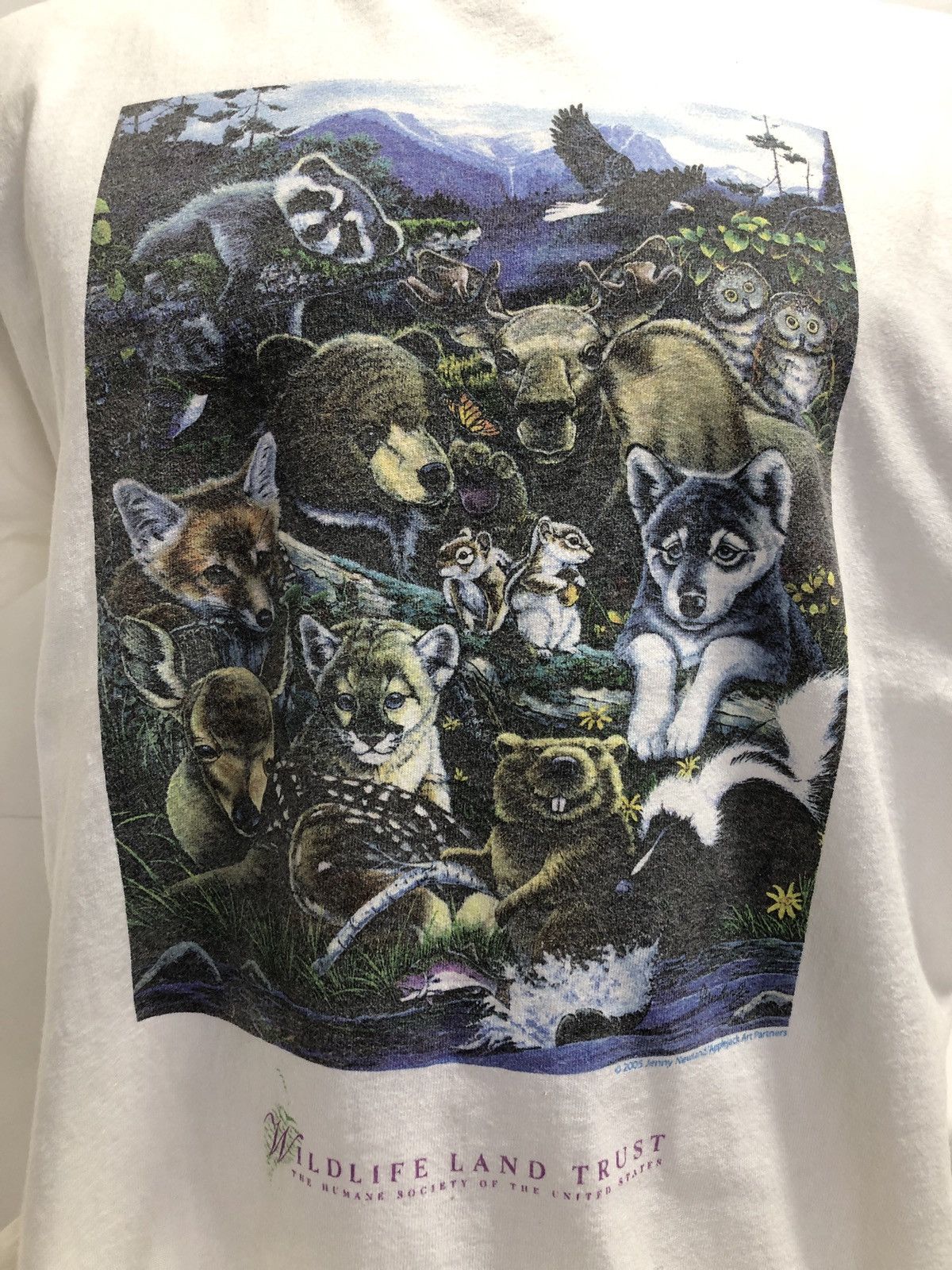 Vintage Vintage Wildlife Land Trust Jenny Newland T-Shirt Size US L / EU 52-54 / 3 - 2 Thumbnail