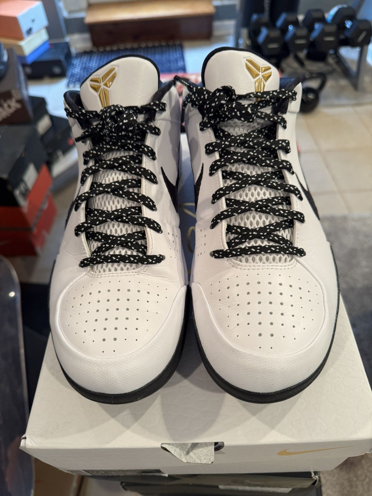 Nike Kobe Protro Mambacita Gigi