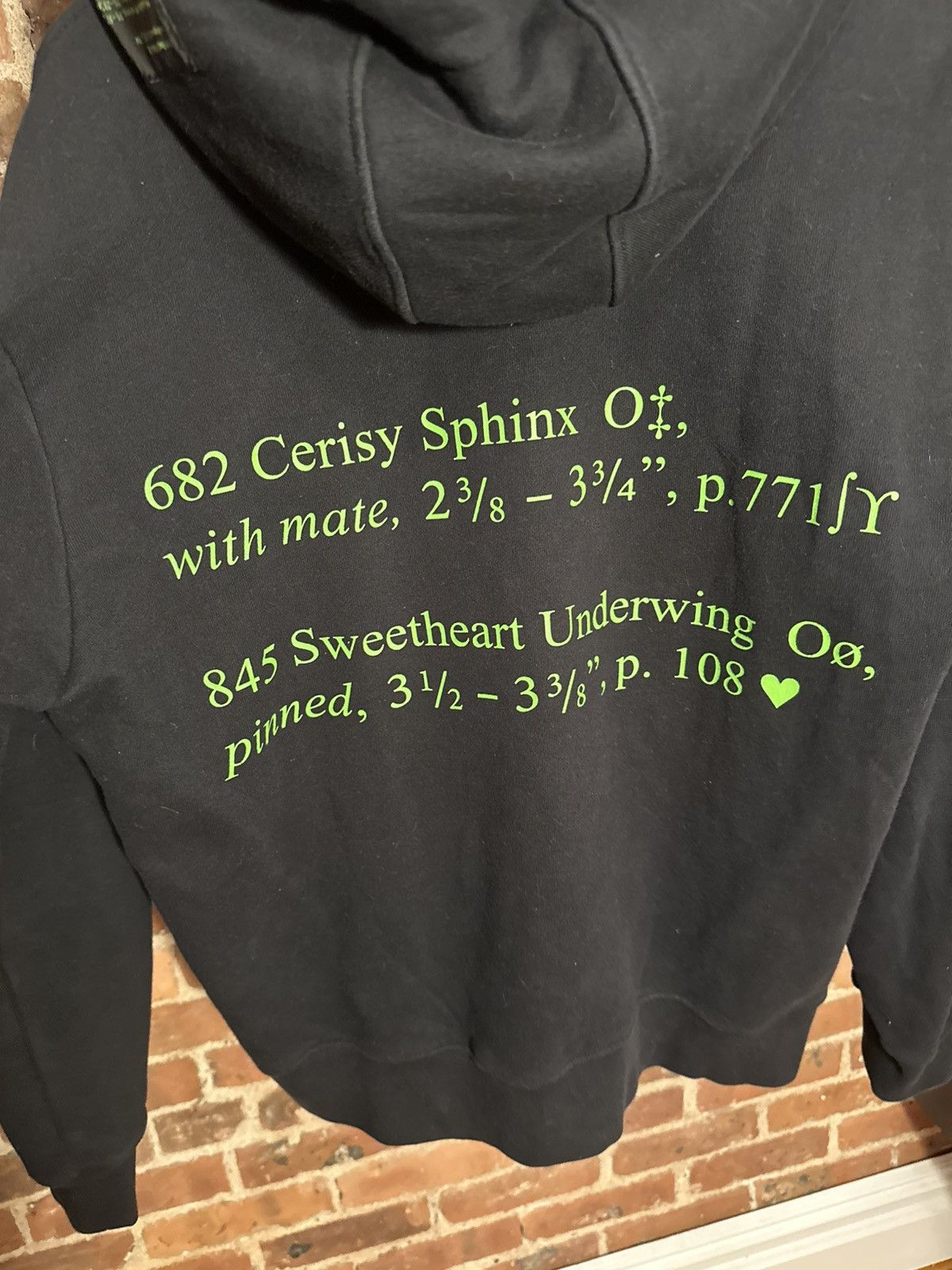 Sterling Ruby S. R. Studios Insect Index Oversized Hoodie Size US XS / EU 42 / 0 - 8 Thumbnail