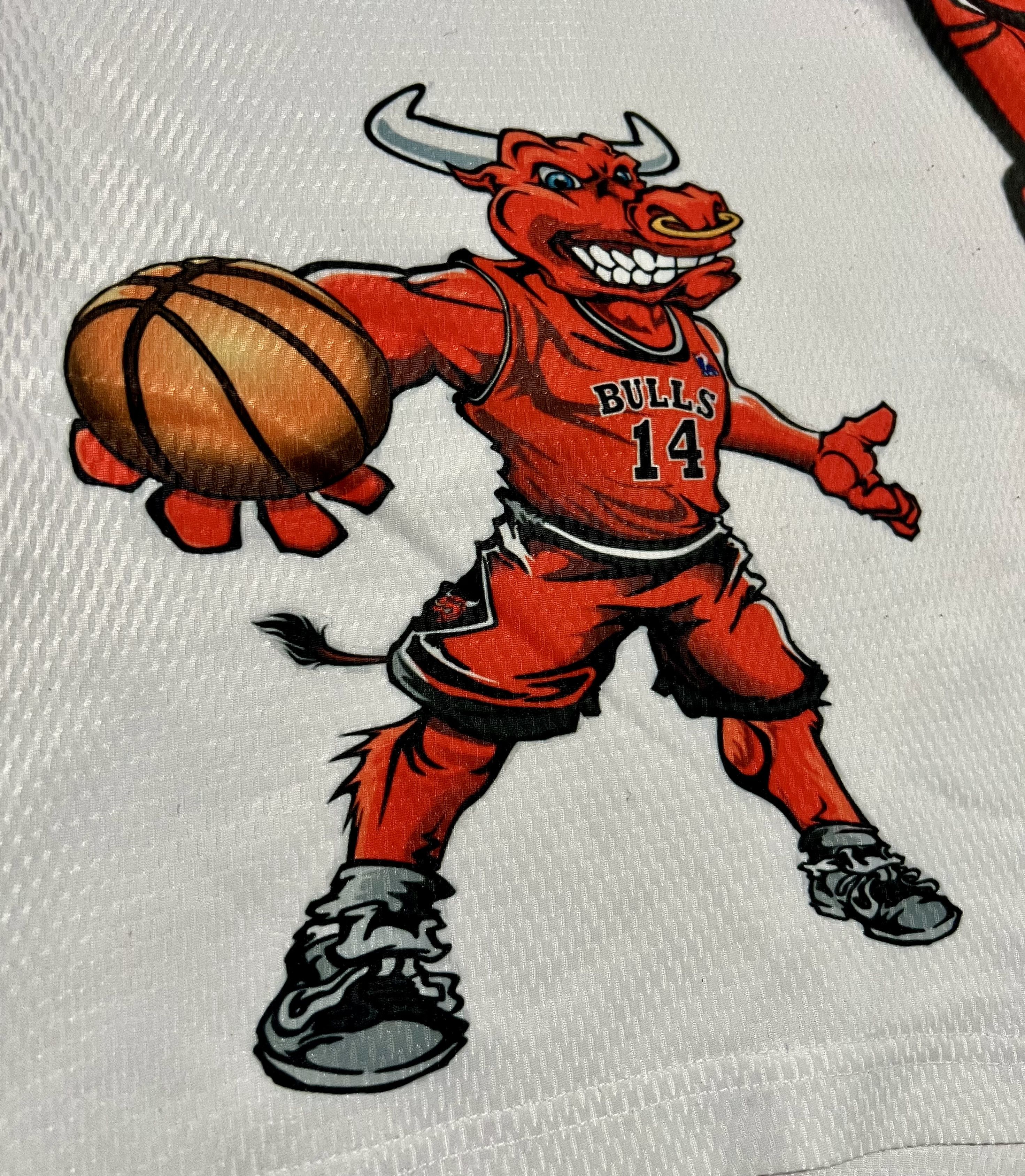 Athletic Works Chicago Bulls Benny The Bull Athletic Works Athletic Shorts Size US 42 / EU 58 - 5 Thumbnail