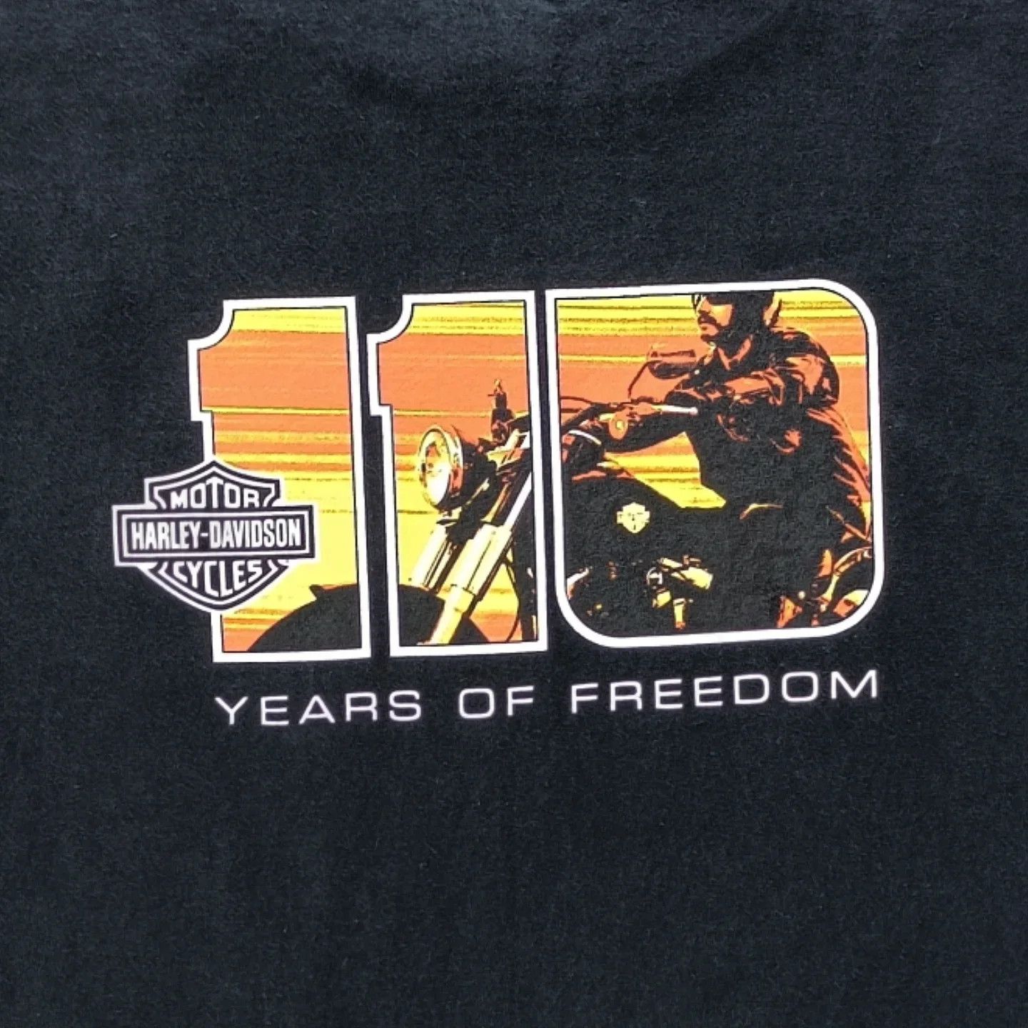 Harley Davidson × Rockstar Games Harley Davidson 110 Years of Freedom Long Sleeve Size US M / EU 48-50 / 2 - 2 Thumbnail