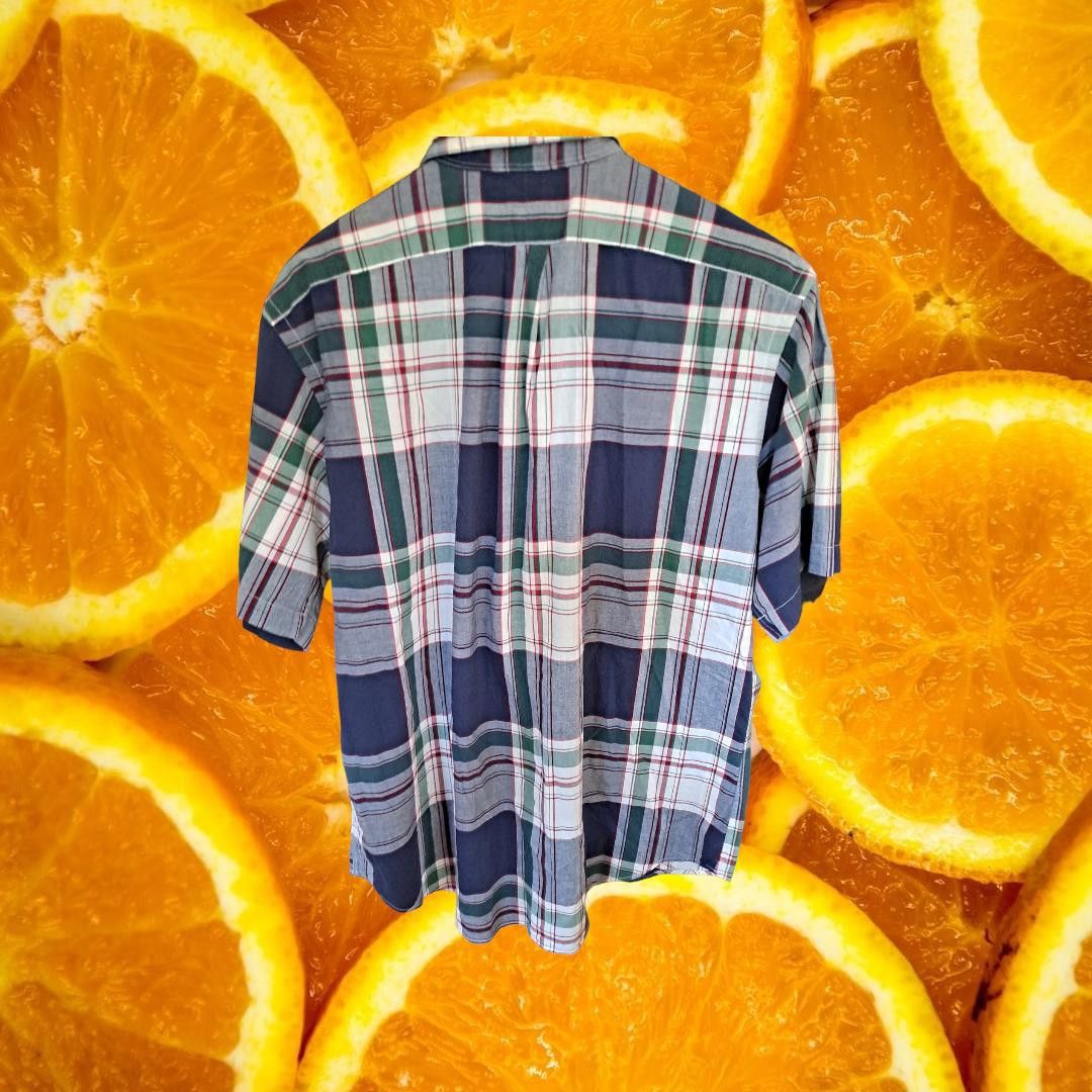 Ralph Lauren Ralph Lauren Classic Fit Plaid Button Down Shirt Size Large Size US L / EU 52-54 / 3 - 4 Thumbnail