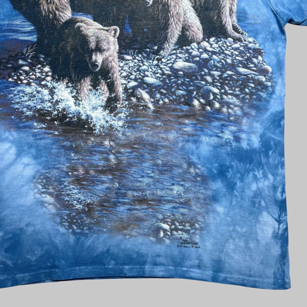 The Mountain × Vintage Vintage 2001 Brown Bears Nature The Mountain Graphic Tee Size US M / EU 48-50 / 2 - 8 Thumbnail