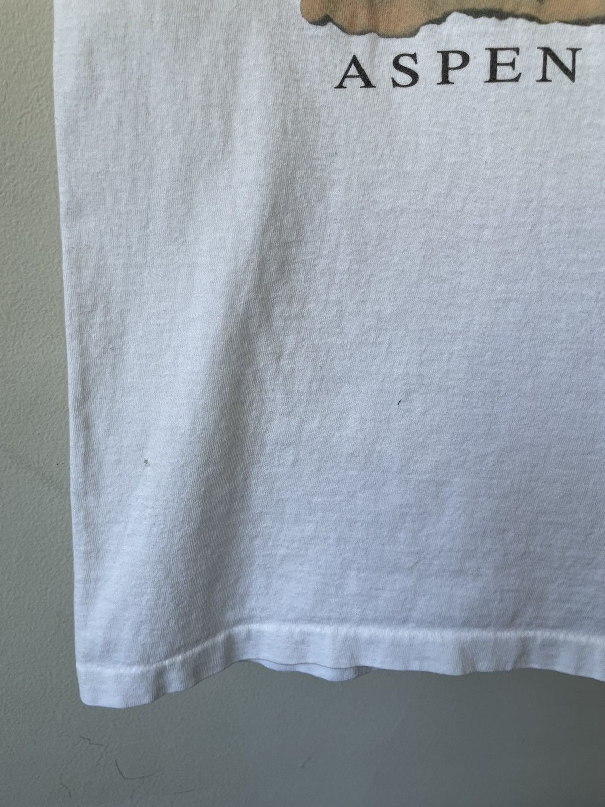 Anvil × Vintage Vintage 1995 Aspen Snowboard Evolution tee Size US L / EU 52-54 / 3 - 12 Thumbnail