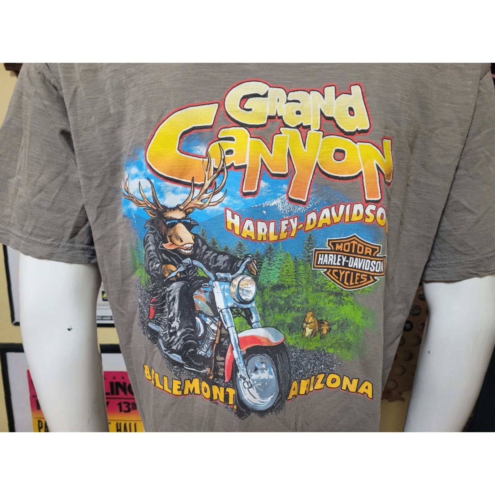 Harley Davidson Harley-Davidson T-Shirt Men Large Gray Cotton Blend Crew Neck Short Sleeve Graphic Tee Biker Motorcycle Grand Canyon Bellemont AZ Size US L / EU 52-54 / 3 - 4 Thumbnail