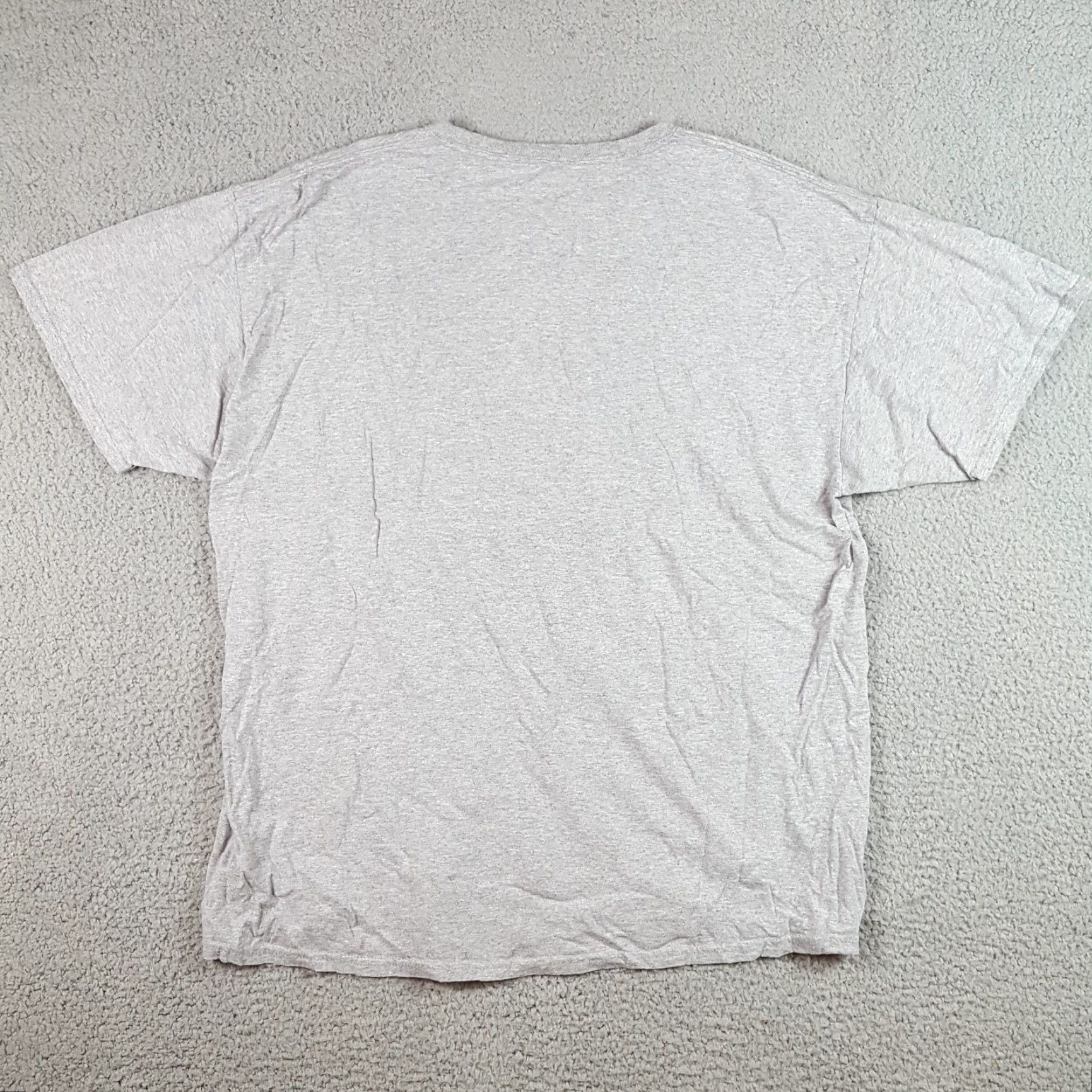 Fruit Of The Loom VINTAGE Never Give Up Motivational Poster T-Shirt Men XL Gray Cotton 90s Frog Swamp Retro Logo Fruit of the Loom Mens XL Size US XL / EU 56 / 4 - 4 Thumbnail