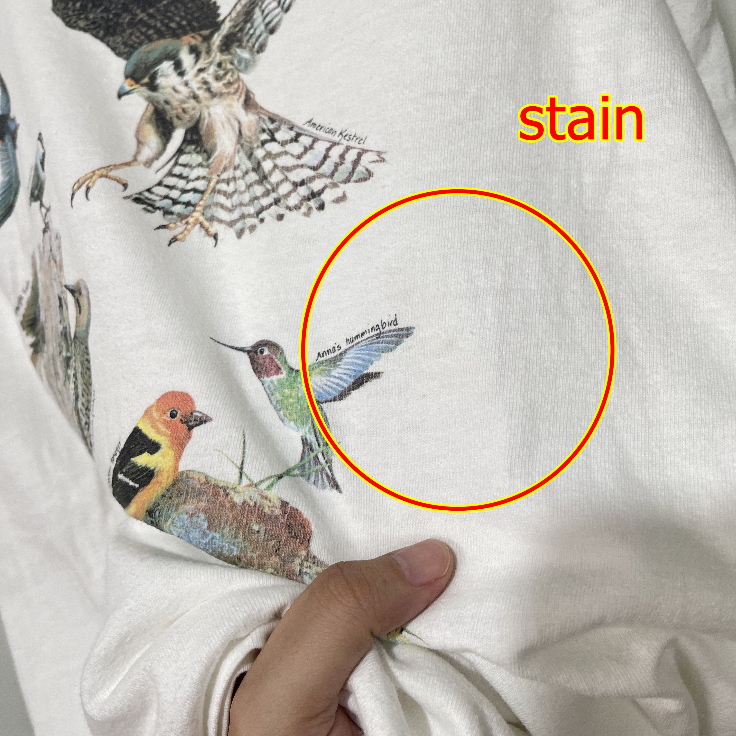 Vintage Vintage 90s Birds of the Sierra T-Shirt Size US M / EU 48-50 / 2 - 8 Thumbnail