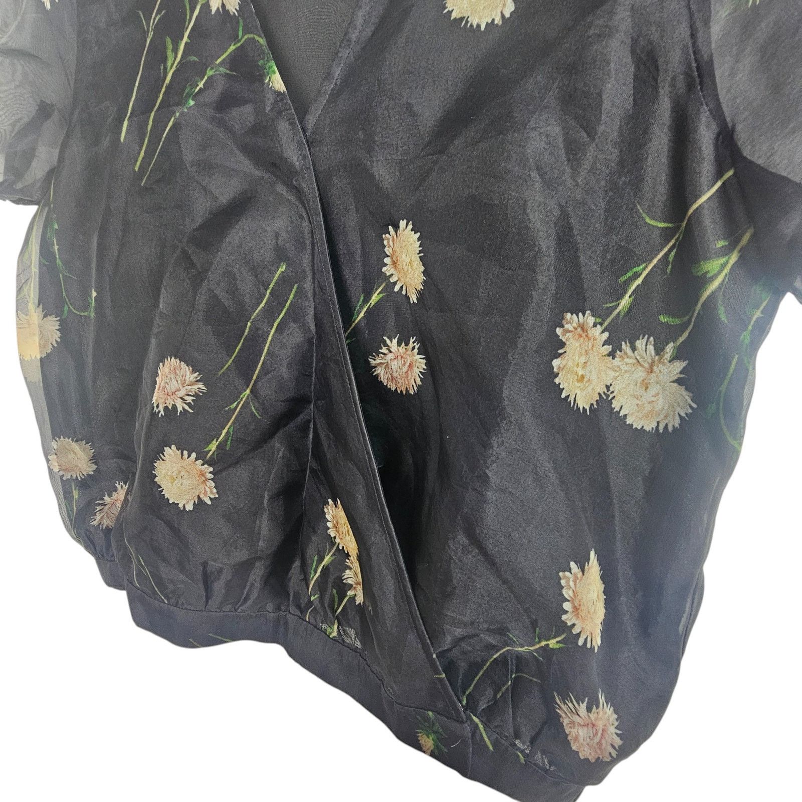 Madewell Madewell Womens Silk Floral Organza Surplice Blouse Size S Size S / US 4 / IT 40 - 4 Thumbnail