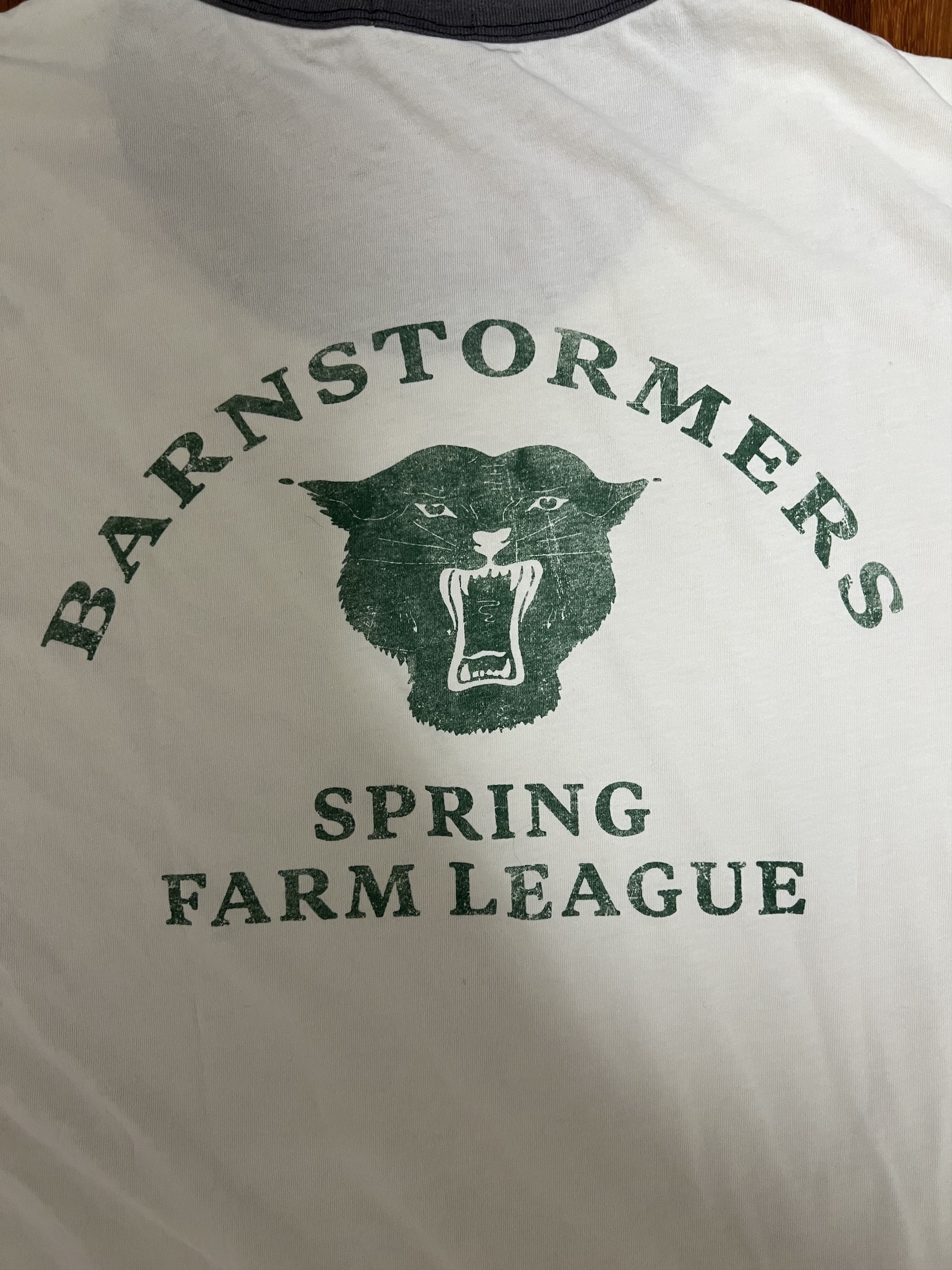 WYTHE 💚 Wythe Cotton Ringer T-Shirt Barnstormers Back Print NEW Size US L / EU 52-54 / 3 - 5 Thumbnail