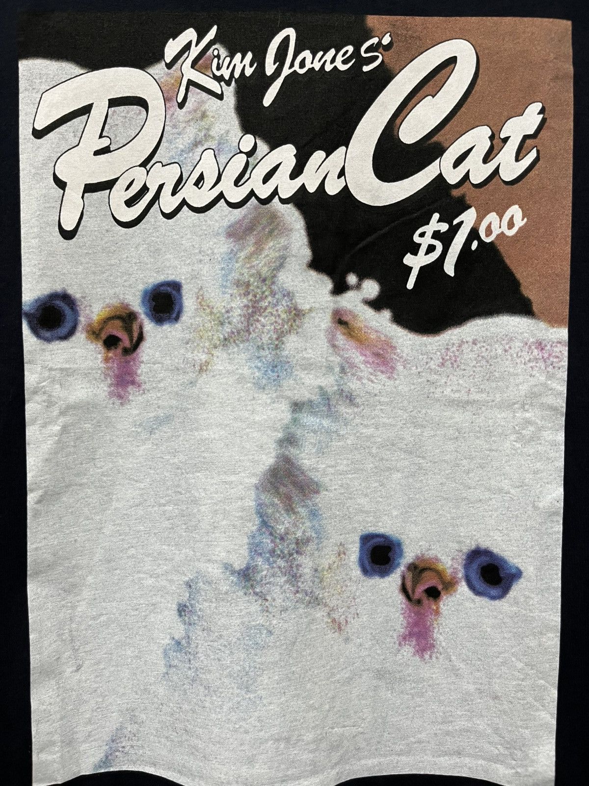 GU × Kim Jones Kim Jones X GU SS18 “Persian Cat” Collaboration Tee Unworn Size US M / EU 48-50 / 2 - 3 Thumbnail