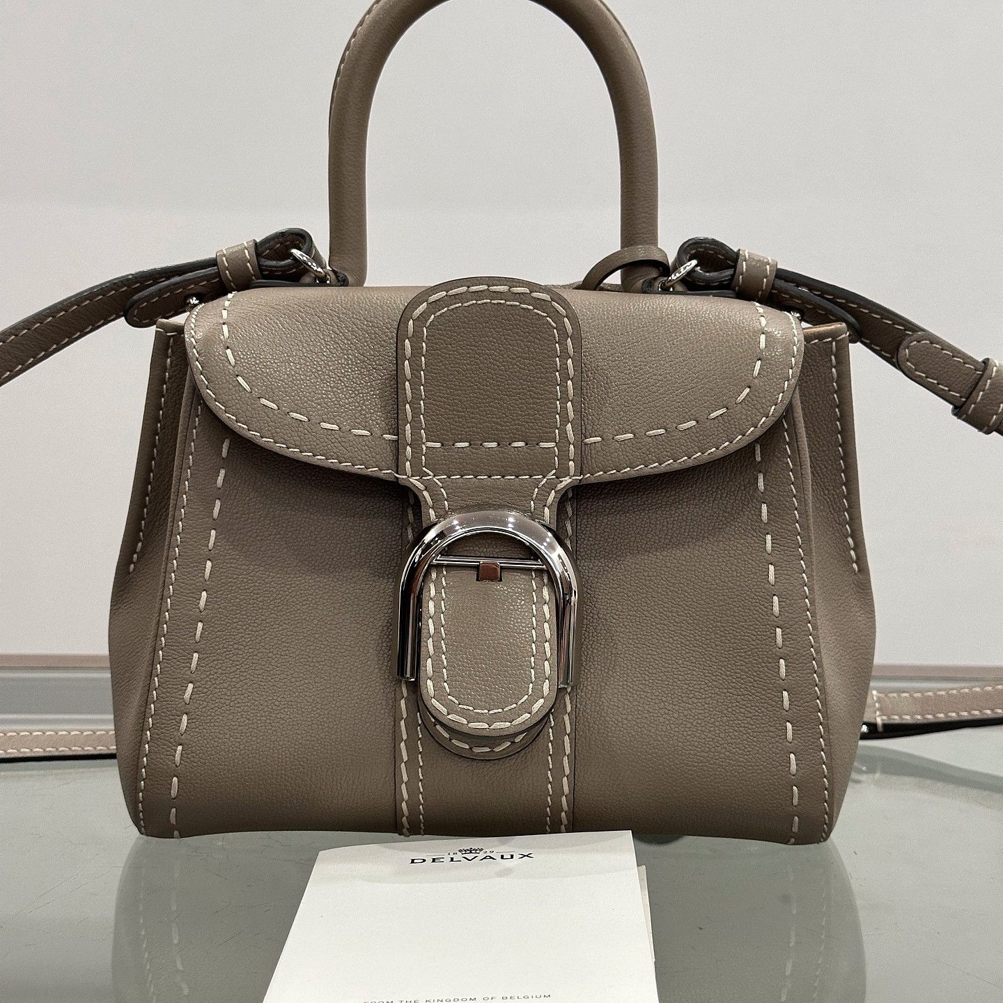 Delvaux Delvaux Brillant Mini Rodeo Calf Handle Bag Taupe Size ONE SIZE - 1 Thumbnail