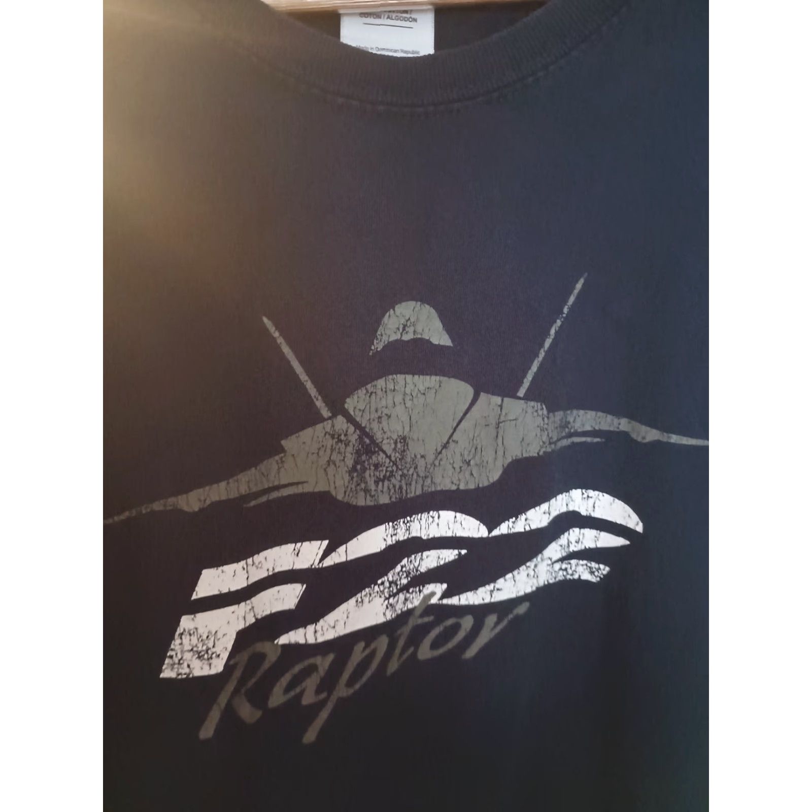 Gildan VINTAGE F-22 Raptor Jet Plane Air Force T-shirt Mens Blue L USA Military Gildan Shirt 90s era Decade Size US L / EU 52-54 / 3 - 2 Thumbnail