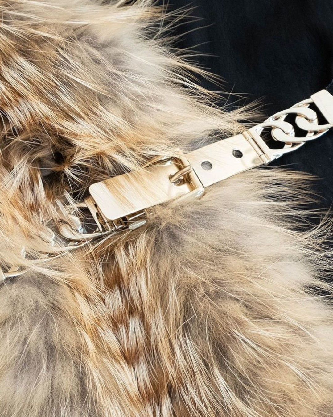 Gucci F/W 2010 SUEDE LEATHER COAT WITH FOX FUR LONG COLLAR Size S / US 4 / IT 40 - 5 Thumbnail