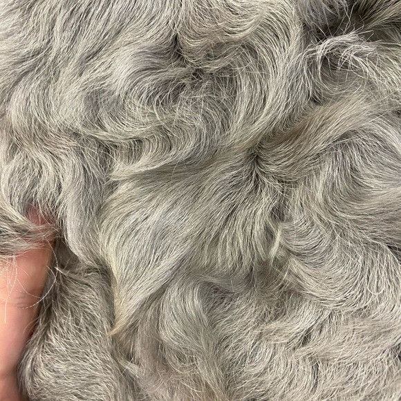 Vintage 440. VINTAGE 1970s Gray Genuine Sheepskin Fur Jacket Small Size S / US 4 / IT 40 - 14 Thumbnail