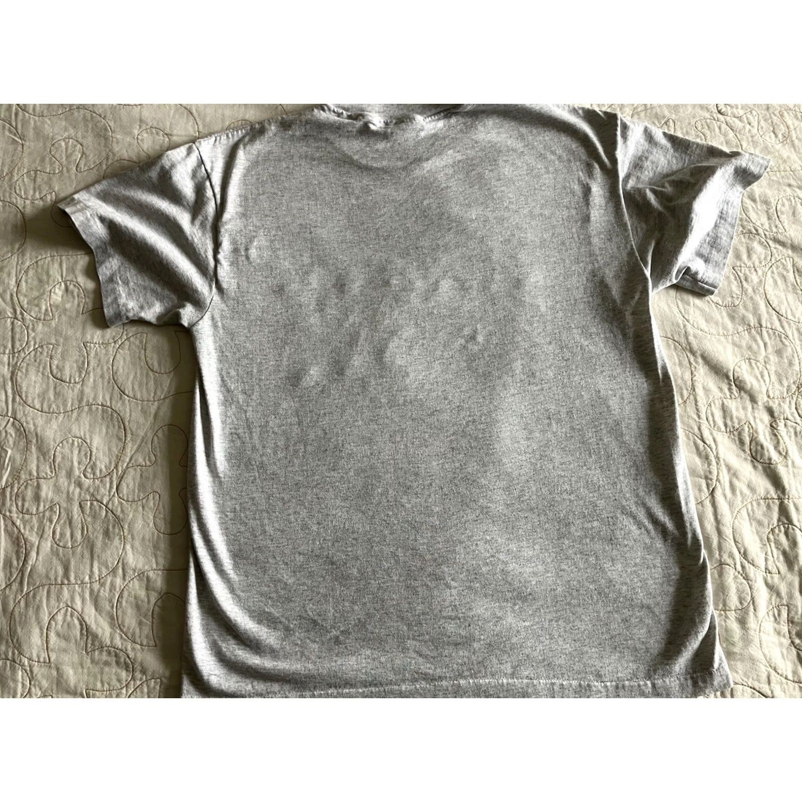 Hanes VINTAGE Froggy 99.9 FM Radio Hanes Heavyweight Mens L Gray Single Stitch Tshirt Size US L / EU 52-54 / 3 - 6 Thumbnail