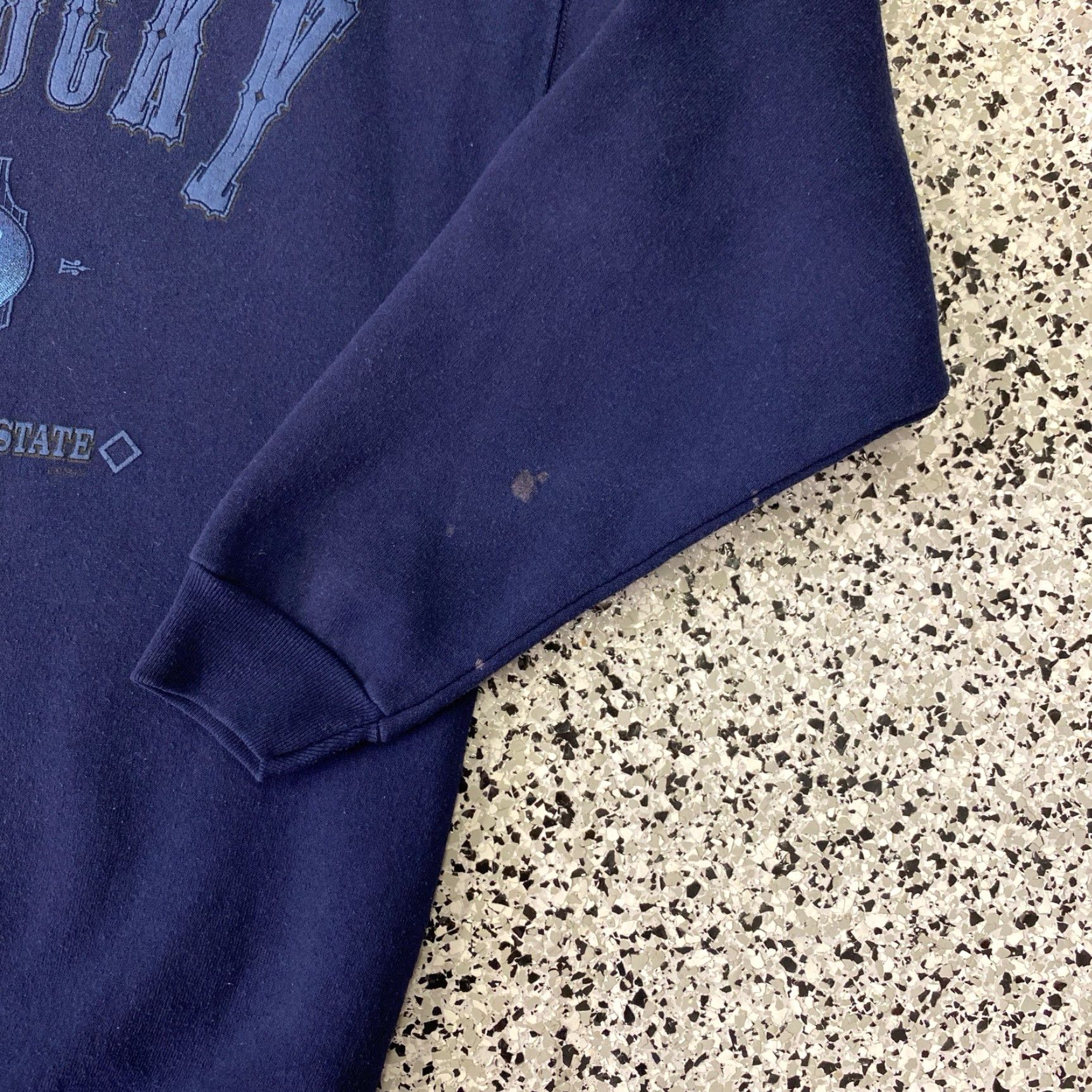 Vintage Vintage Louisville Kentucky Horses Sweatshirt Sz M Blue 90s Blue Grass State Size US M / EU 48-50 / 2 - 2 Thumbnail