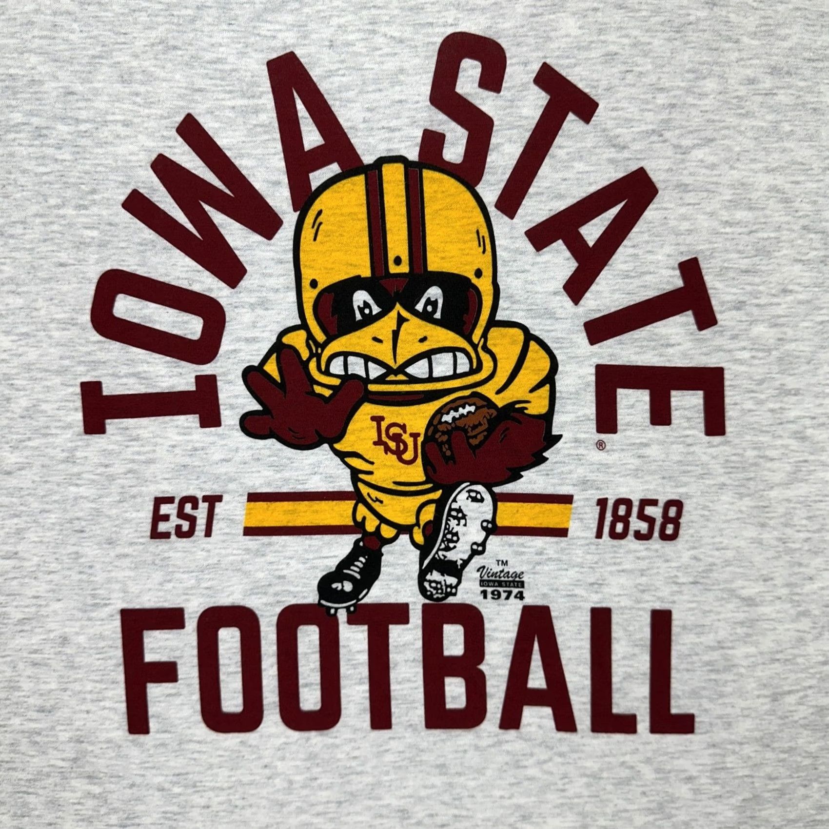 Vintage Homefield Iowa State Hawkeyes Mens Football T-Shirt Large Light Gray Tee Short Sleeve Crew Neck Graphic Print L Mens Size US L / EU 52-54 / 3 - 4 Thumbnail