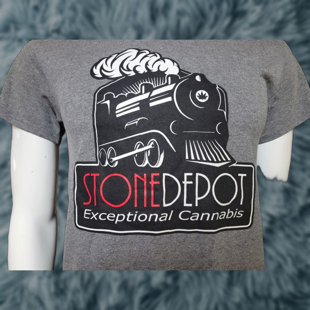 Gildan Stone Depot Cannabis Dispensary Michigan Logo T Shirt Small Men Gray Cotton Blend Crew Neck Graphic Tee 50.50 Gildan DryBlend Vintage? Size US S / EU 44-46 / 1 - 1 Thumbnail