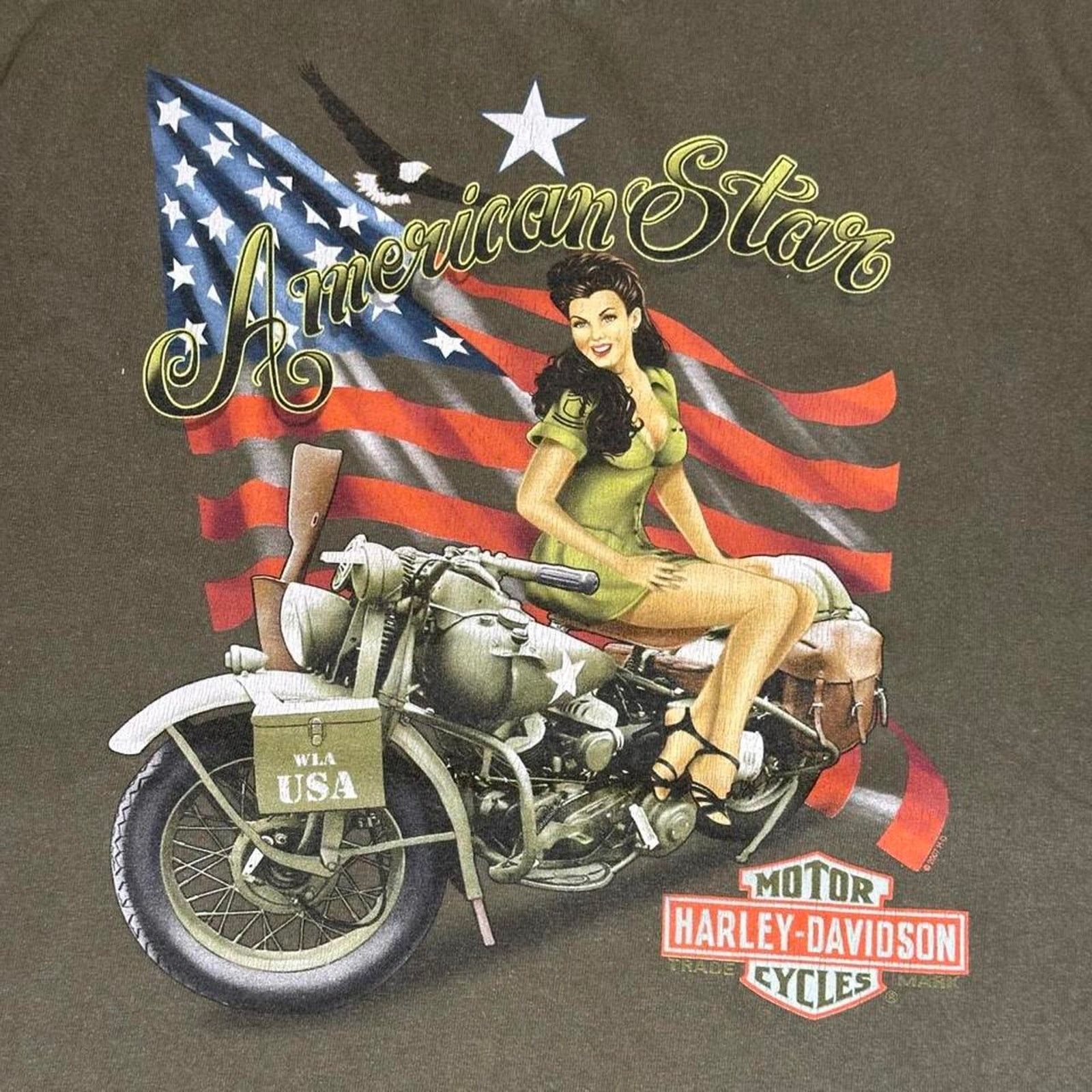 Harley Davidson Harley Davidson Pin up biker girl Flames T-shirt Size US L / EU 52-54 / 3 - 2 Thumbnail