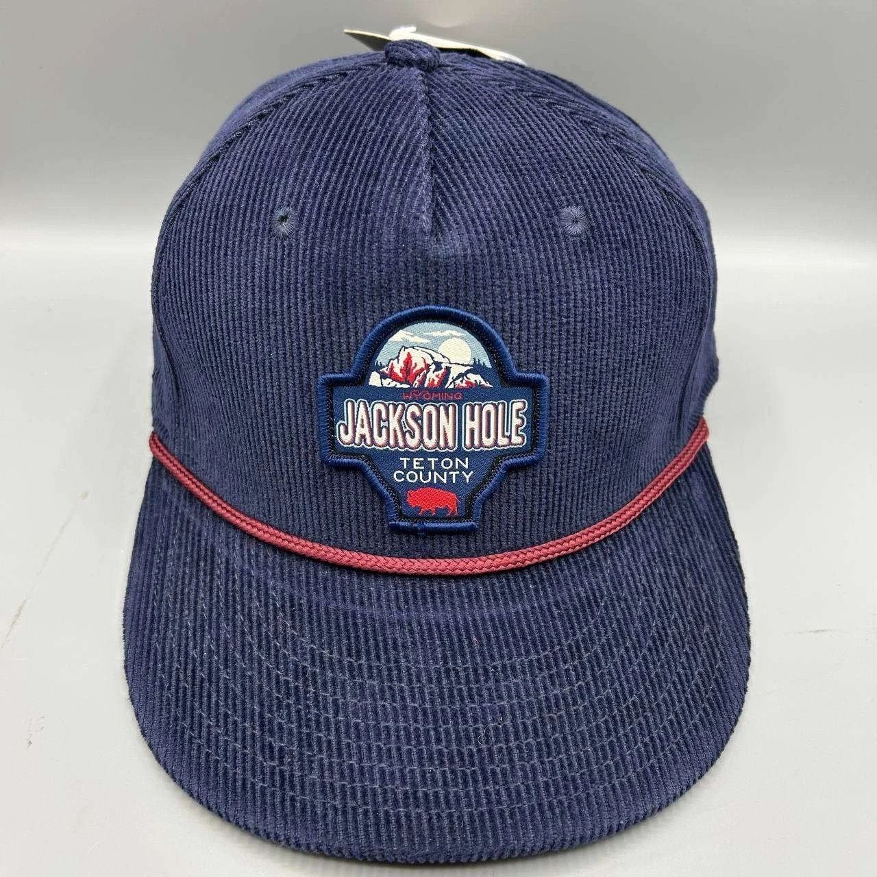 The Game Jackson Hole Hat Men Blue Corduroy Strap Back Cotton Size ONE SIZE - 1 Thumbnail
