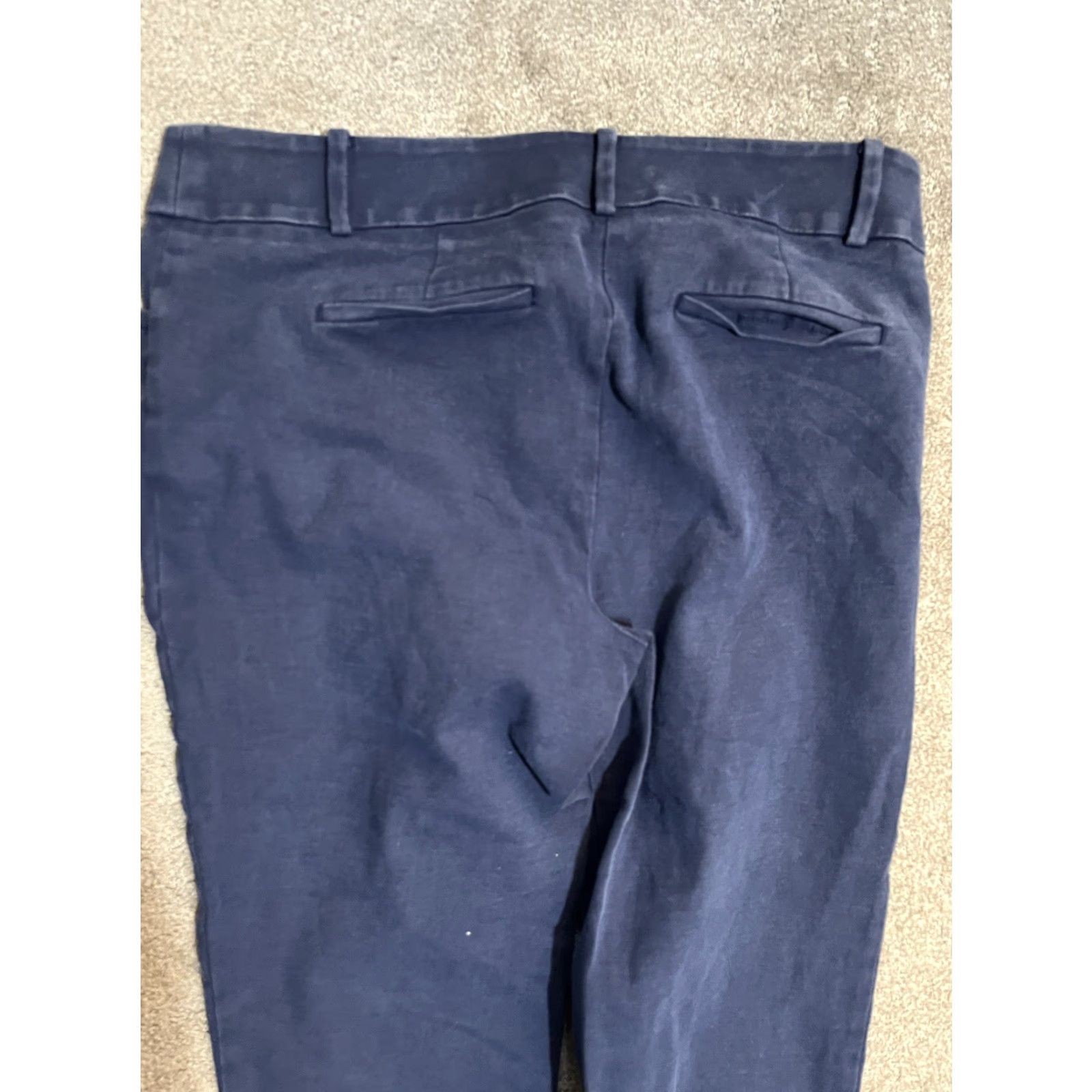 Ann Taylor VINTAGE Ladies Ann Taylor LOFT Marisa The Riviera Pant Chino Pants Size 10P Blue Size 32" / US 10 / IT 46 - 4 Thumbnail