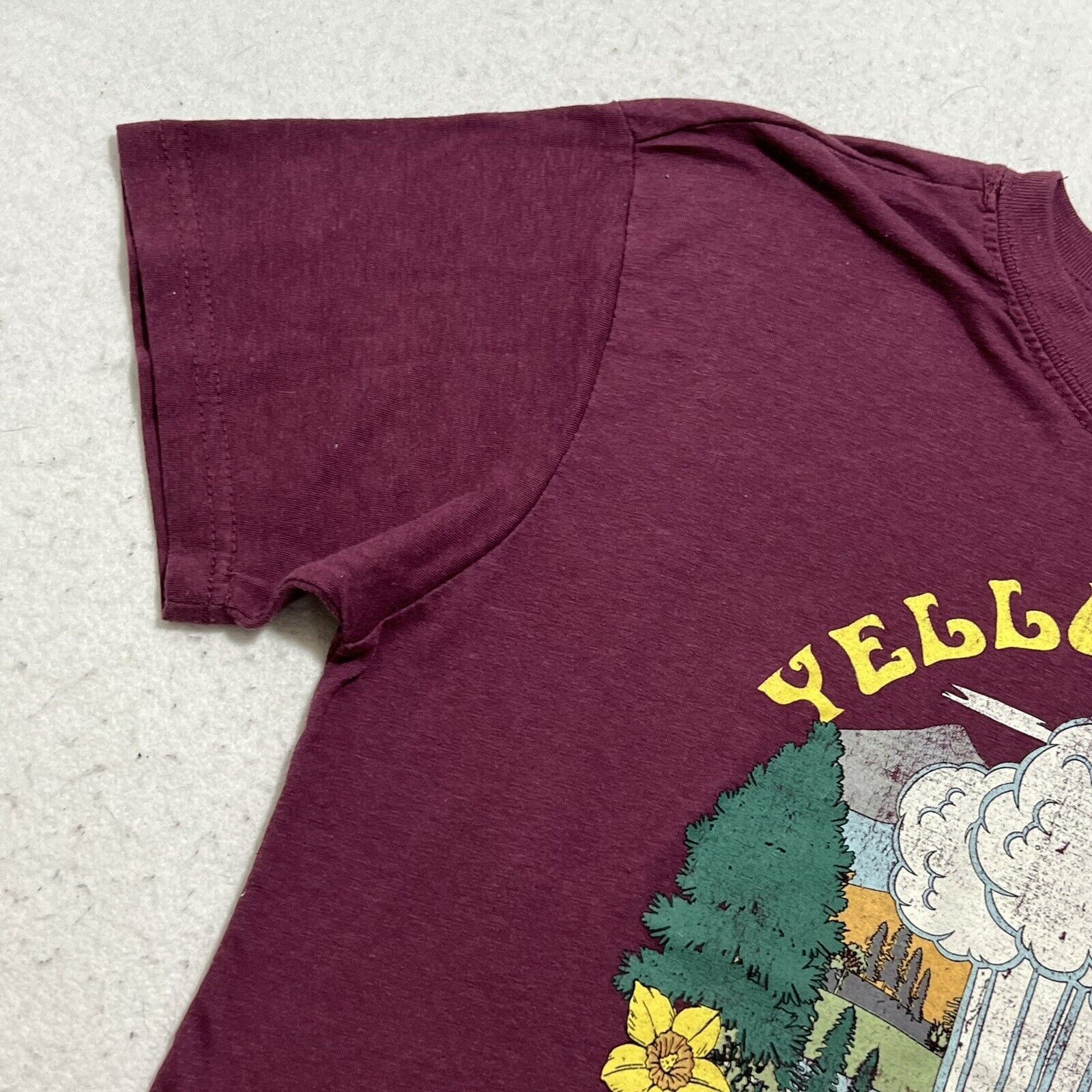 Other National Park Foundation Yellowstone Small Graphic T Shirt Size S / US 4 / IT 40 - 4 Thumbnail