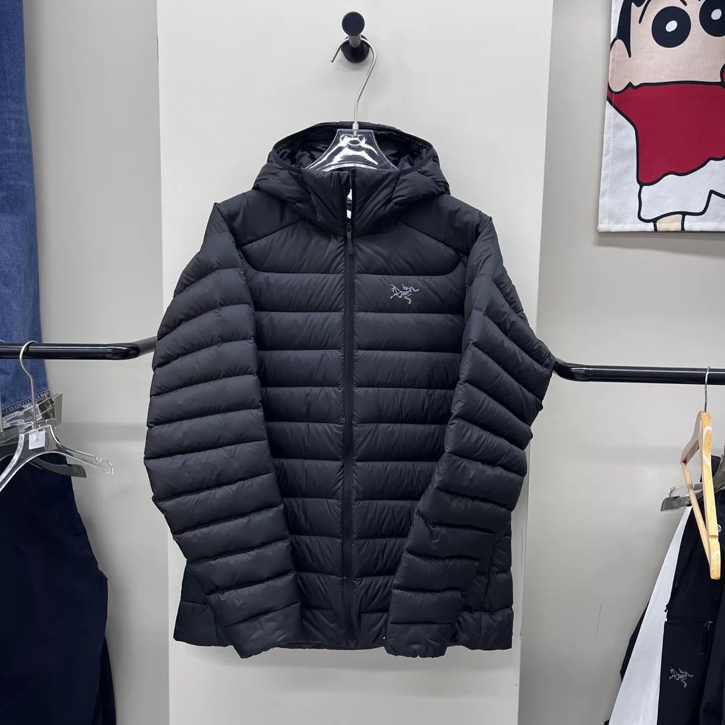 Arc'teryx Arcteryx Cerium HOODY 800 fill down embroidered L mint Size US L / EU 52-54 / 3 - 2 Thumbnail