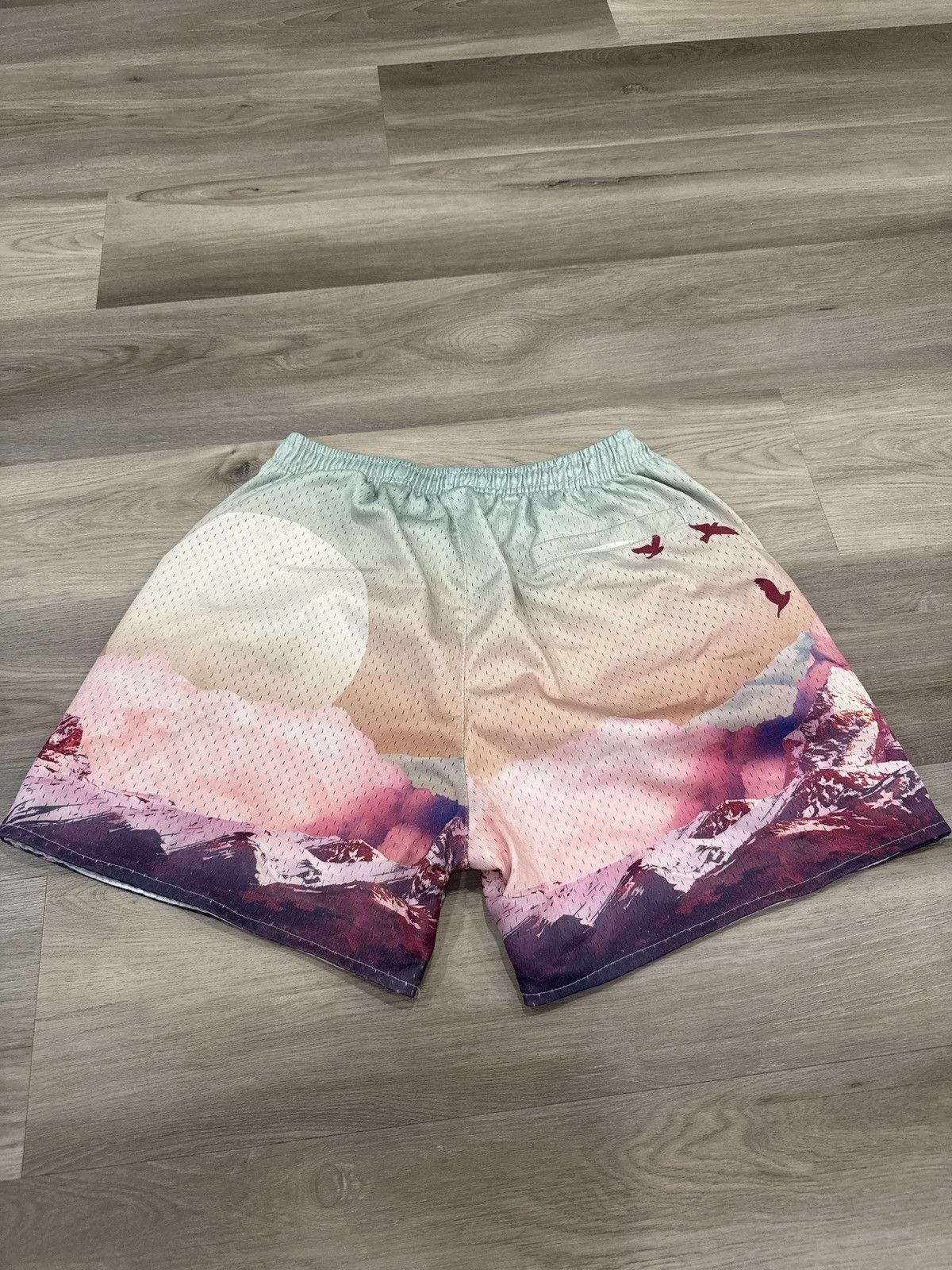 YoungLA YoungLA OG Block Party Shorts Size Large Size US 32 / EU 48 - 2 Thumbnail